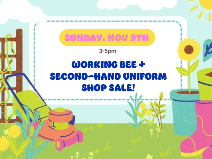 Sustainability Sunday