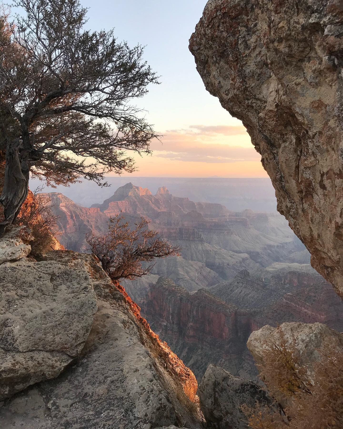 Wake up to find out that you are the eyes of the world.... we&rsquo;ve been on a @gratefuldead binge for about 3 years thanks to our friend and fellow hiker @eggenbaagen! Also this is a picture of the Grand Canyon #gratefuldead #nature #nationalpark 