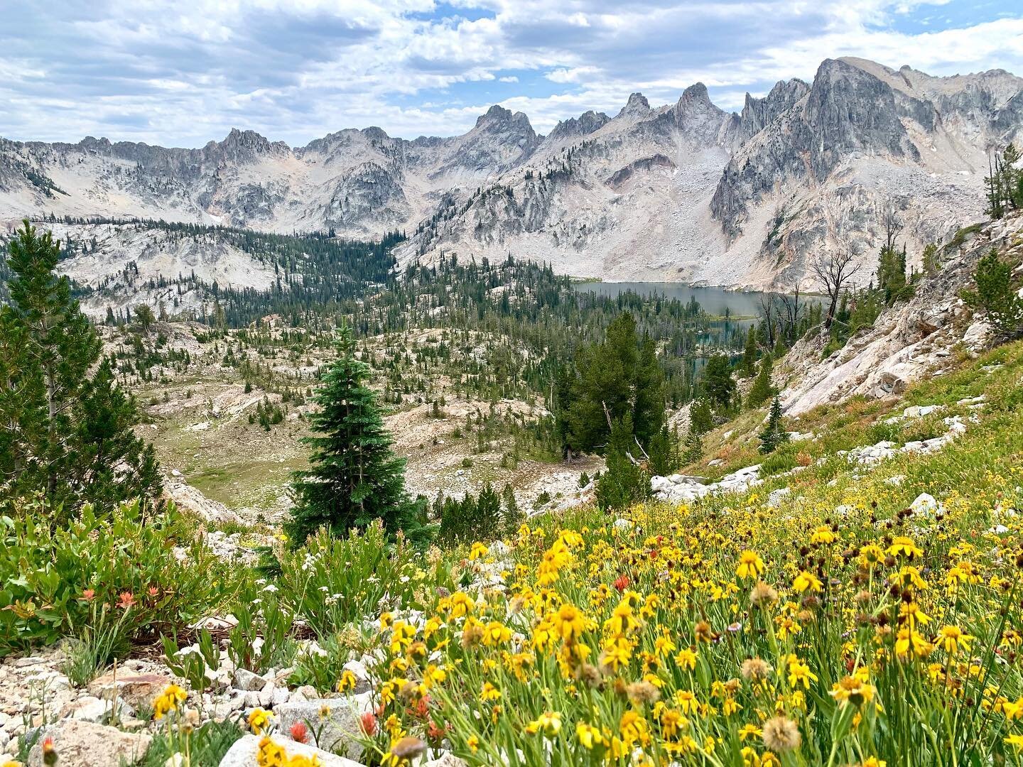Idaho is beautiful! This 10 mile Out-and-Back hike to Snowy-side Peak in the Sawtooth Mountains is just outside of Stanley Idaho. It starts at the Tin Cup trailhead and passes by lake Alice and Twin Lakes
.
.
#idaho #visitidaho #peakbagging #sawtooth