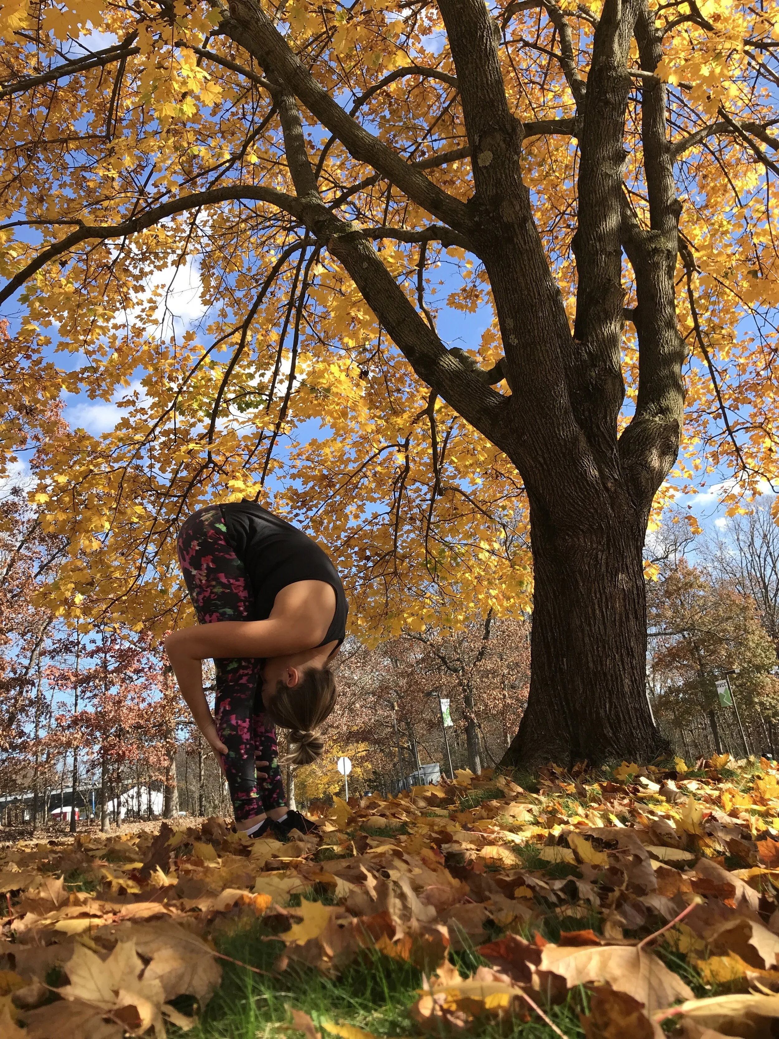 standing forward fold.JPG