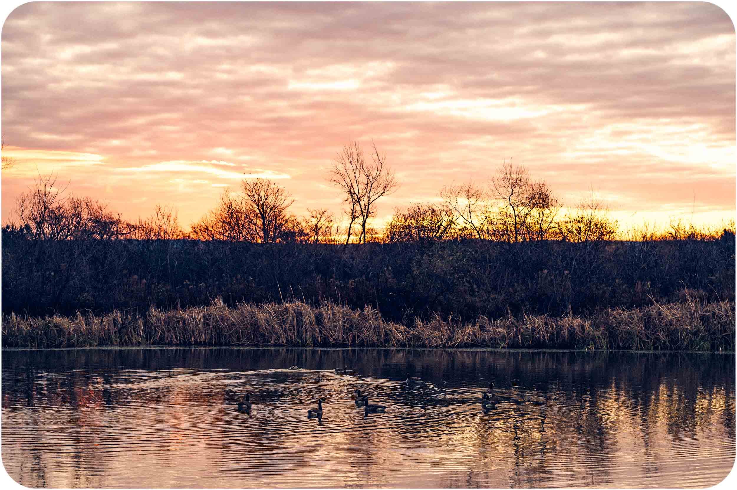 East Aurora sunrise, Bufflao, NY