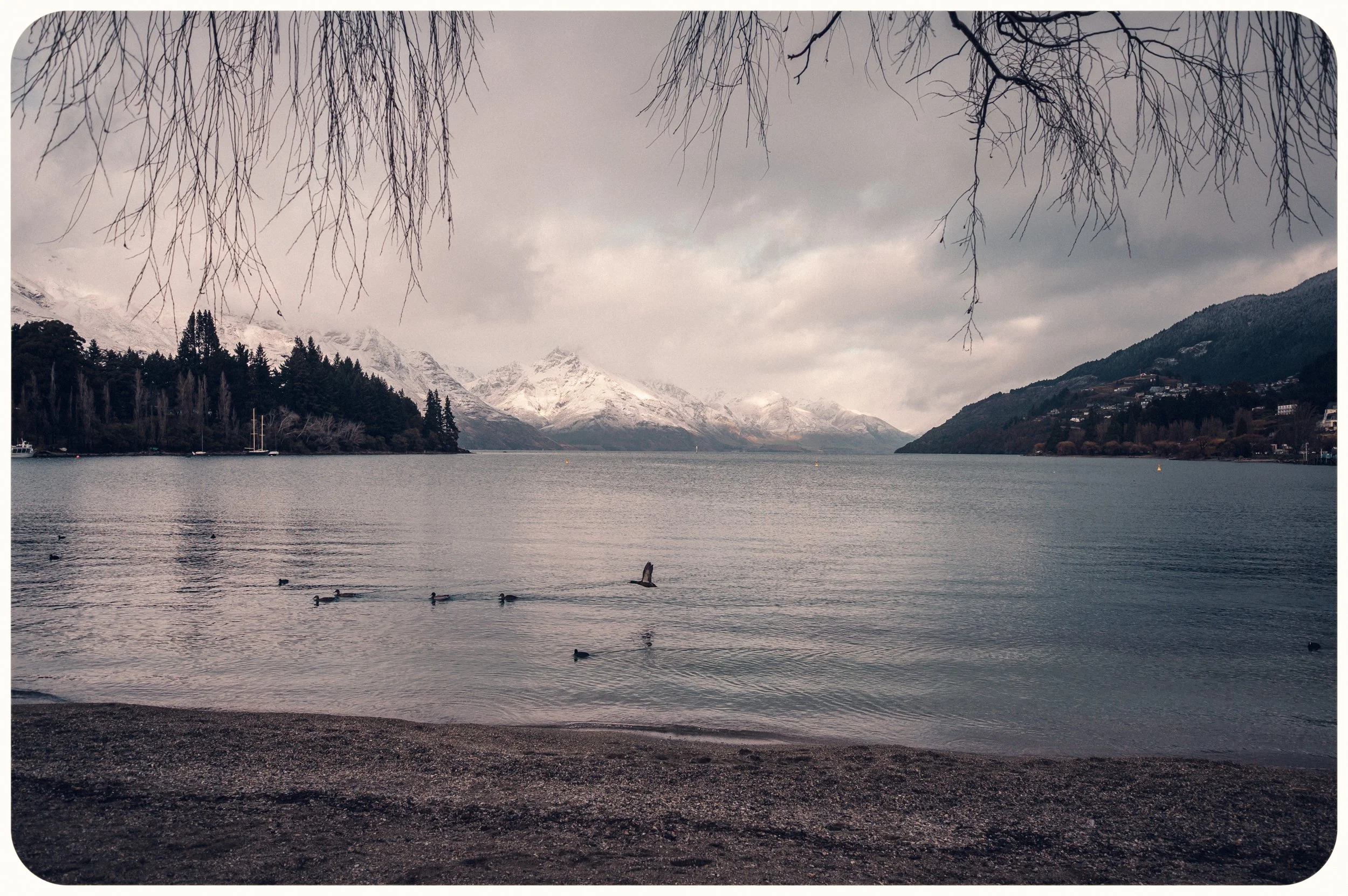 Australasian Society for Developmental Paediatrics