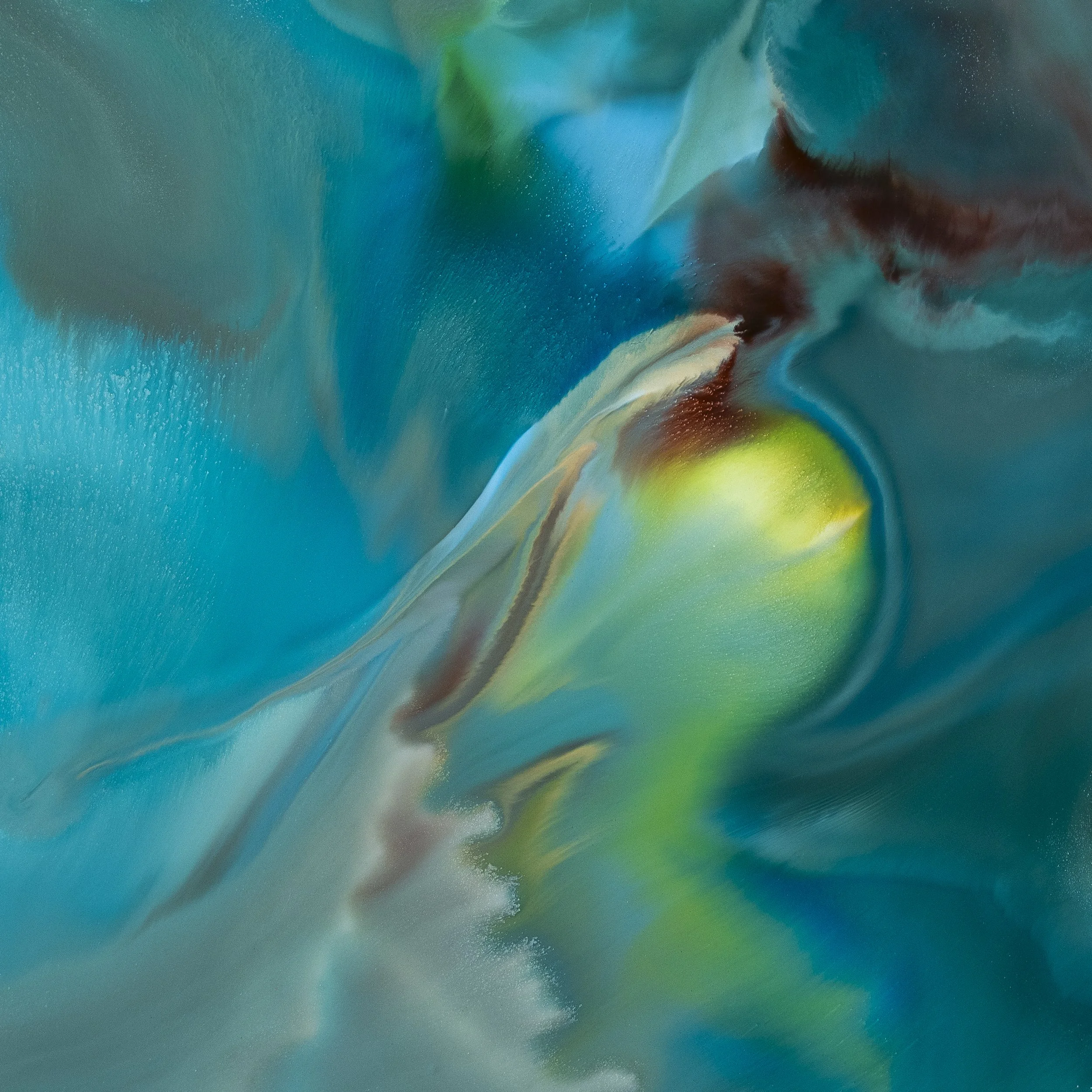 _NMX3673.jpg