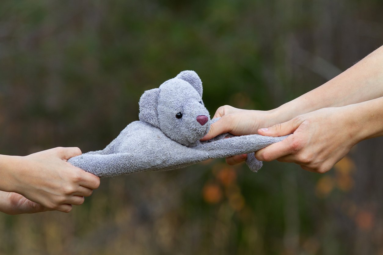 Two children playing tug of war with a cute stuffy, to illustrate sibling conflict