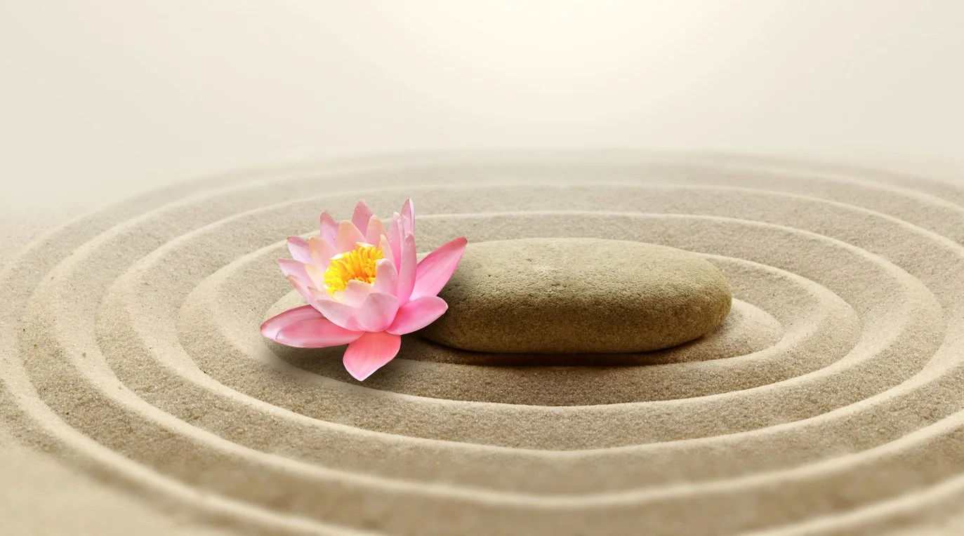 A rock and lotus flower in sand to show calm and beginner's mind.