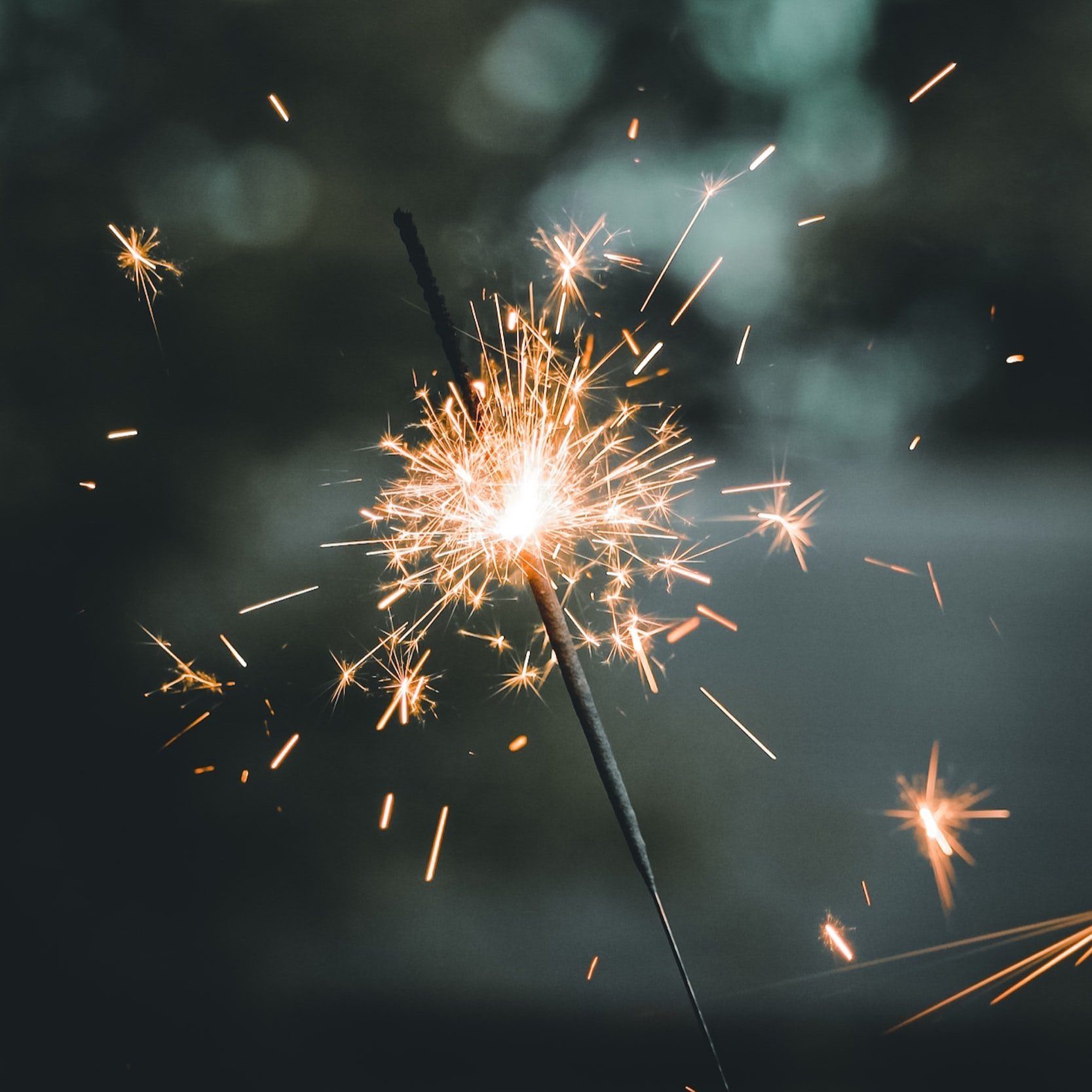 Refresher: New Year, New Evacuation Plan!