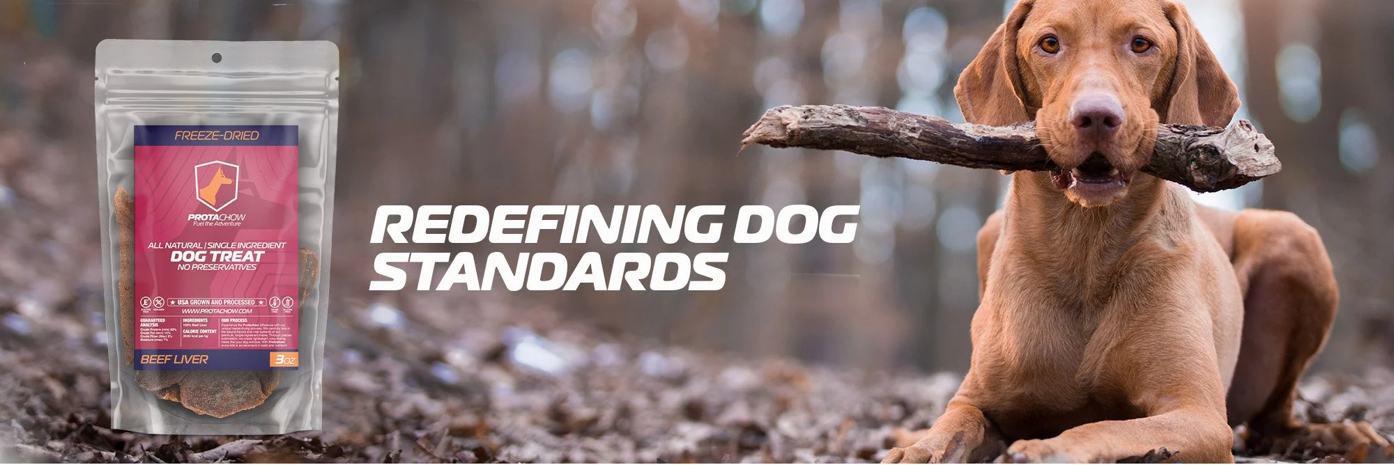 ProtaChow-Redefining-dog-standards-webbanner.jpg