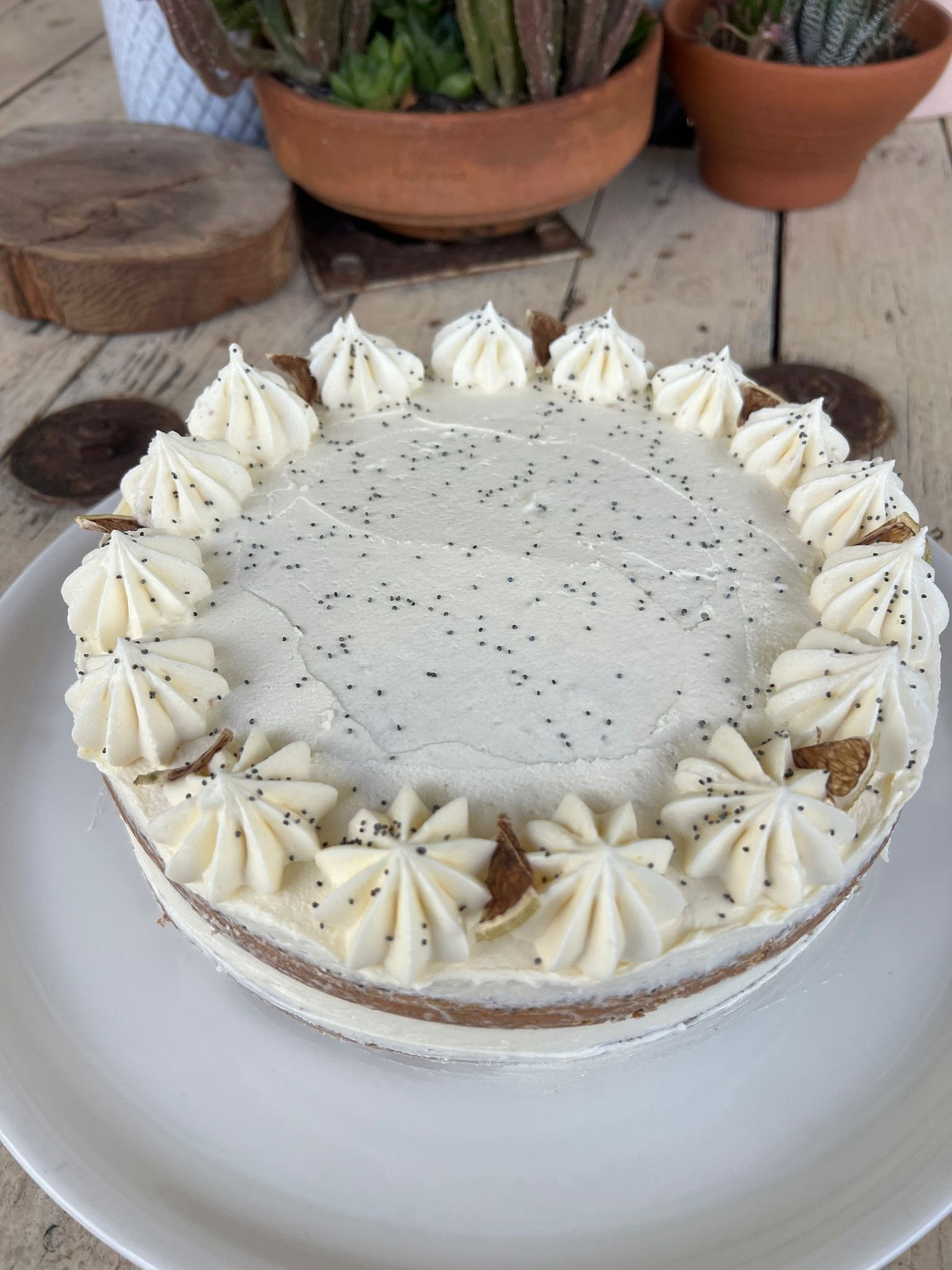 ZESTY MYSTERY CAKE