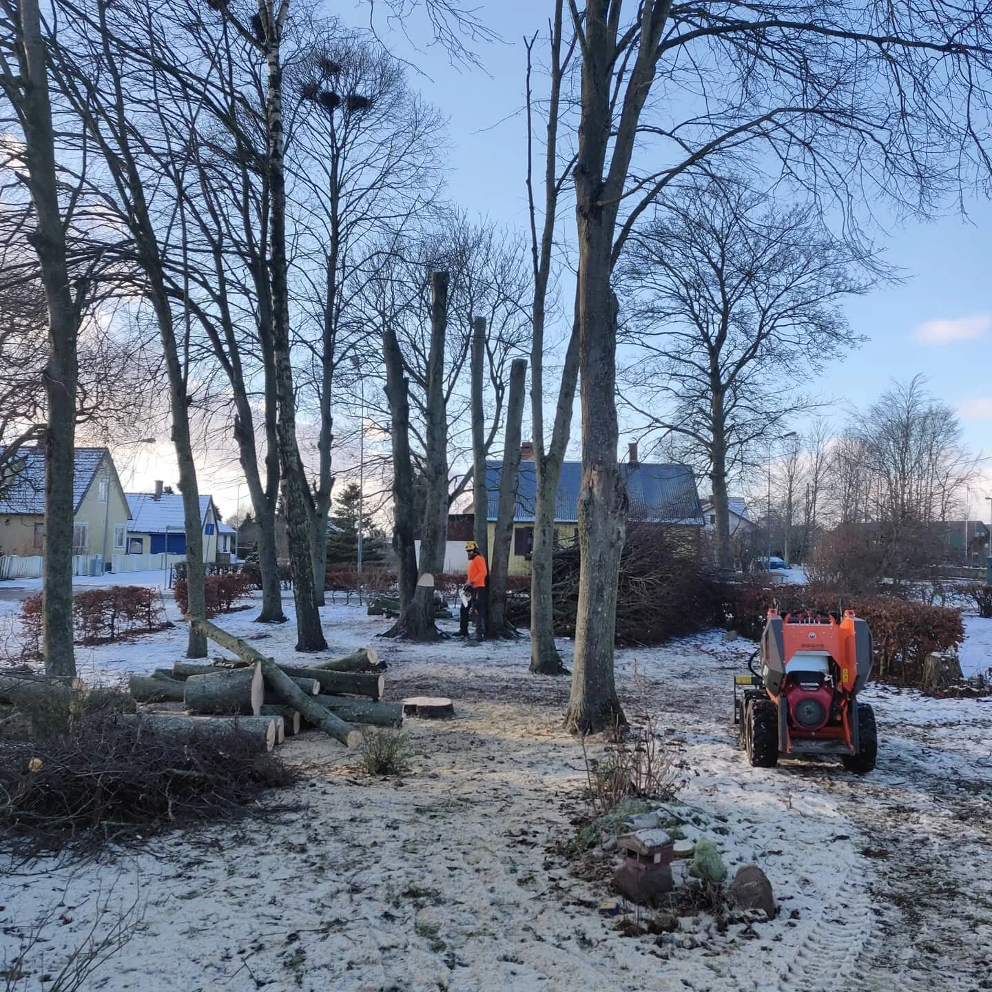 Our week in pictures.

Thanks to: @roadmiles_maurito #svenskakyrkan Lars Svensson, Henrik Jansson, @traarbeteosterlen, Sandro Sinclair, @dgronafingrar and all our lovely clients! 

#arborist #tr&auml;df&auml;llning #tr&auml;dbesk&auml;rning #tr&auml;