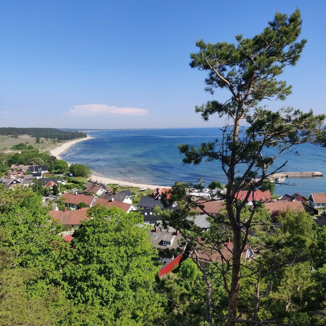 En vacker dag att vara uppe i ett tr&auml;d i Vitaby.