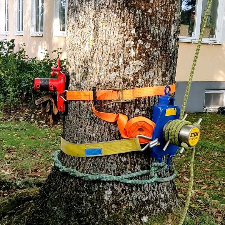 Kraftig reduktion av en ask. Det gula repet h&aring;lla stammen p&aring; plats medan @roadmiles_maurito kl&auml;ttrar upp den. Knepigt tr&auml;d gjort s&auml;kert 🌳✌️

#arborist #tr&auml;dbesk&auml;rning #tr&auml;dv&aring;rd