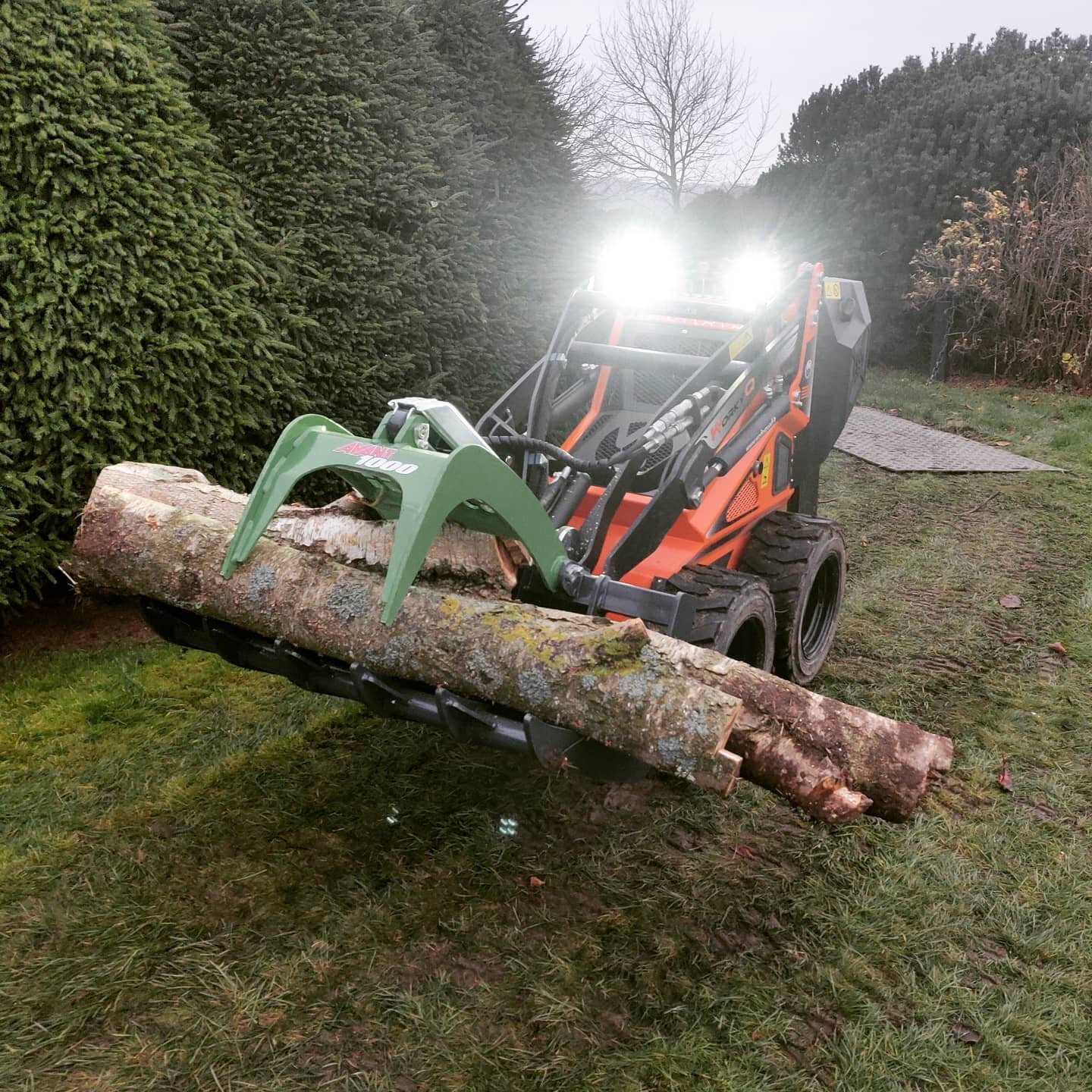 The newest member of the team, thanks Peter at @maskinkompaniet for the excellent service.

#arborist #SSQ22 #skidsteer #tr&auml;df&auml;llning