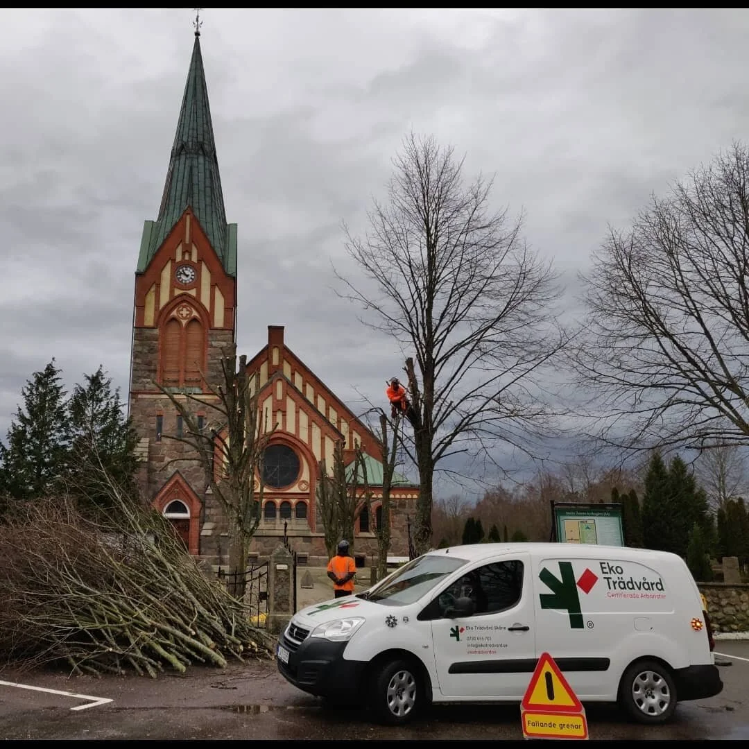 Tack till G&ouml;ran p&aring; @sjobo.forsamling och Britt p&aring; @ystadsallehanda. Det var kul, men v&aring;tt 💦. 

#arborist #hamling #tr&auml;dv&aring;rd #svenskakyrkan #SSQ22 #tr&auml;dbesk&auml;rning