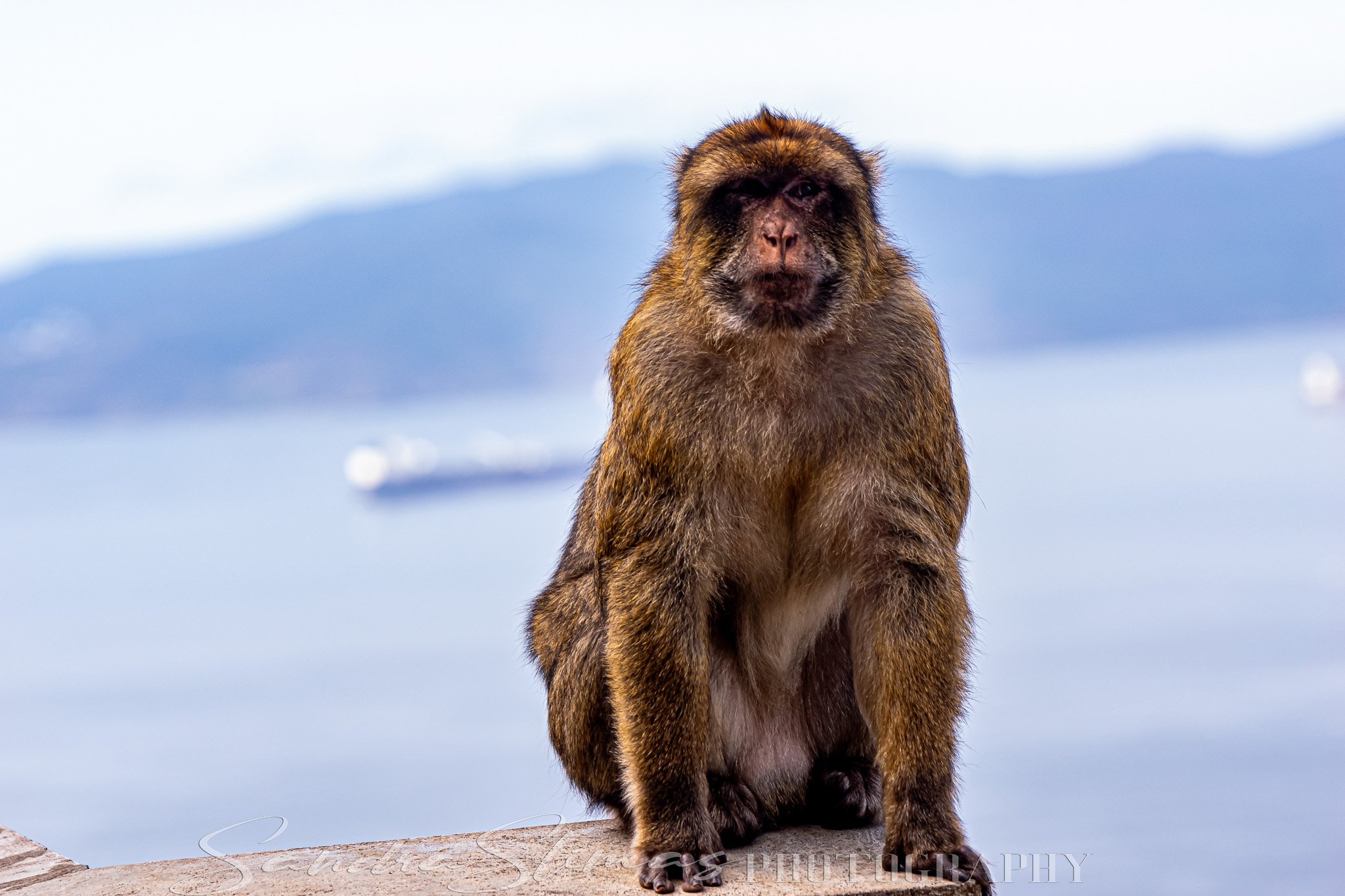 DSC_0563.jpg