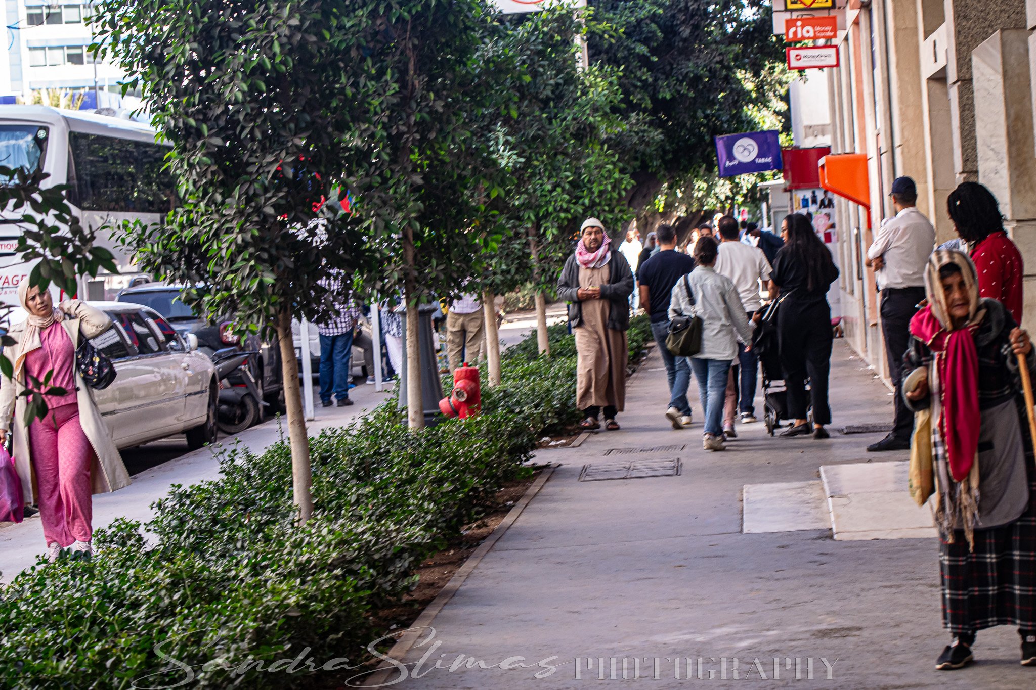 DSC_0835.jpg