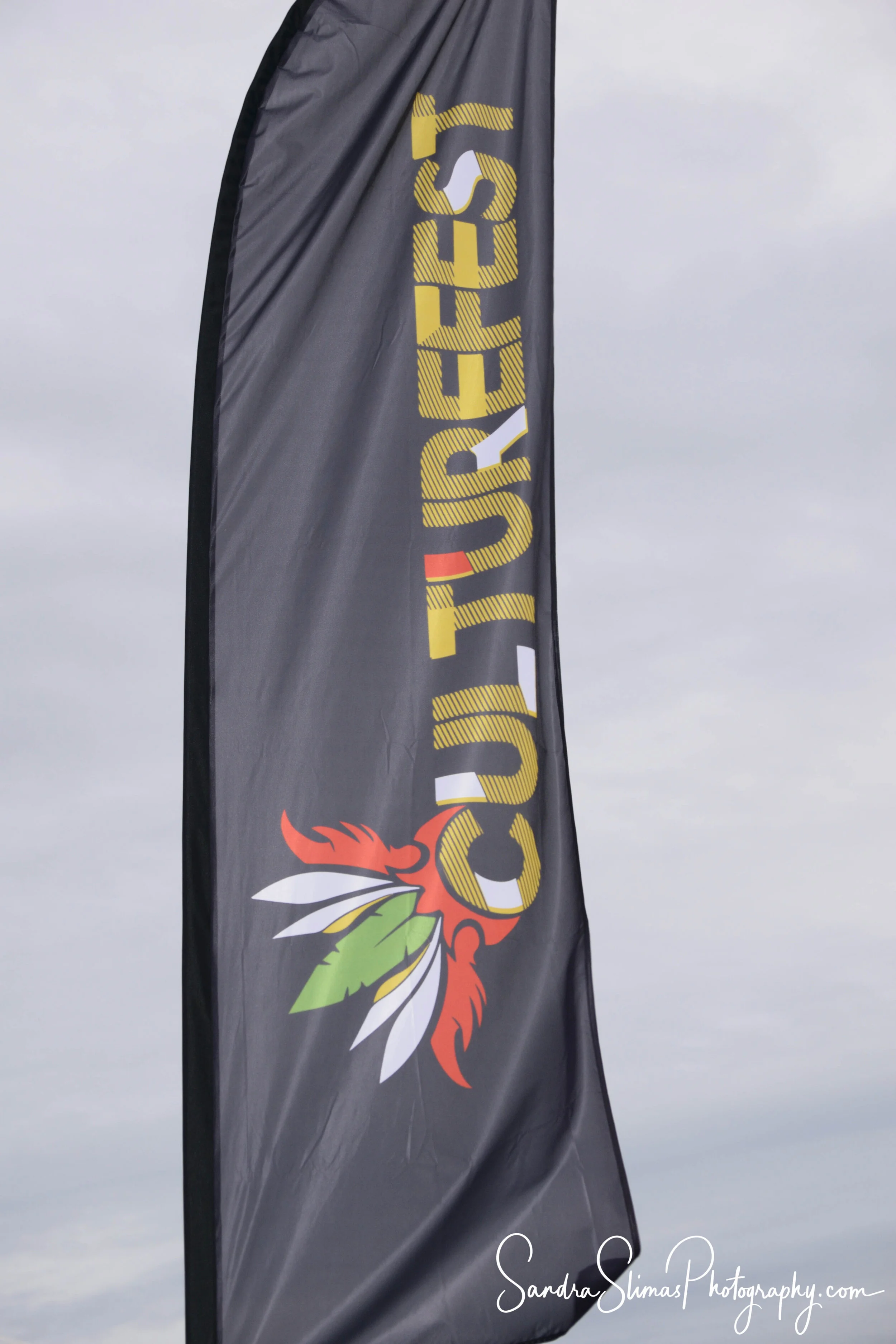 CULTURE FEST DMV