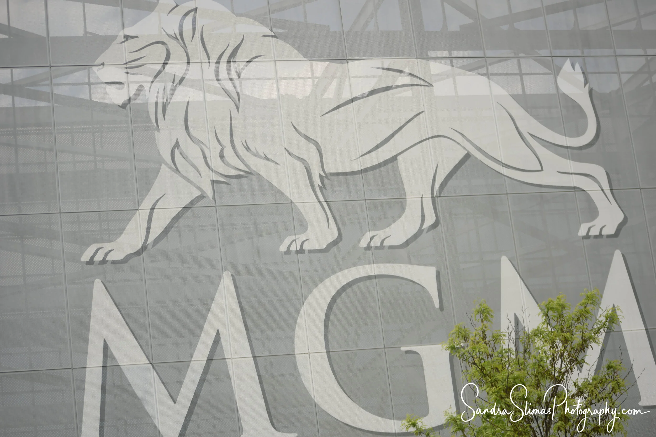 MGM VISIT