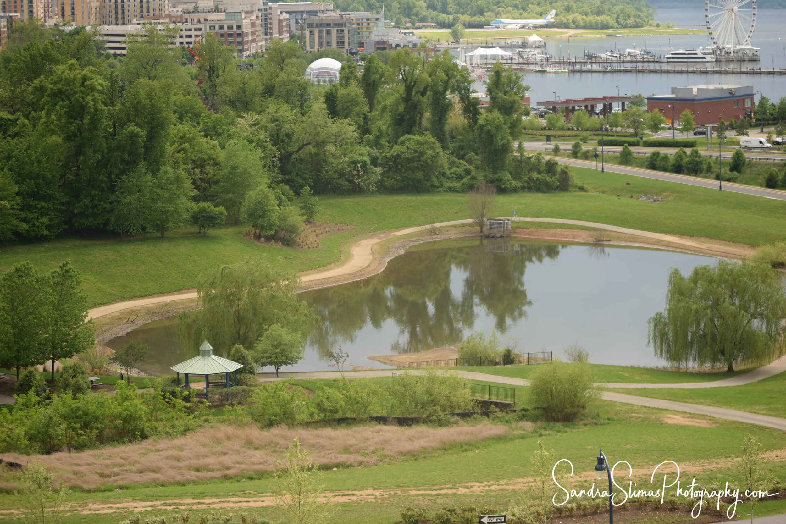 DSC_0092_00001.jpg