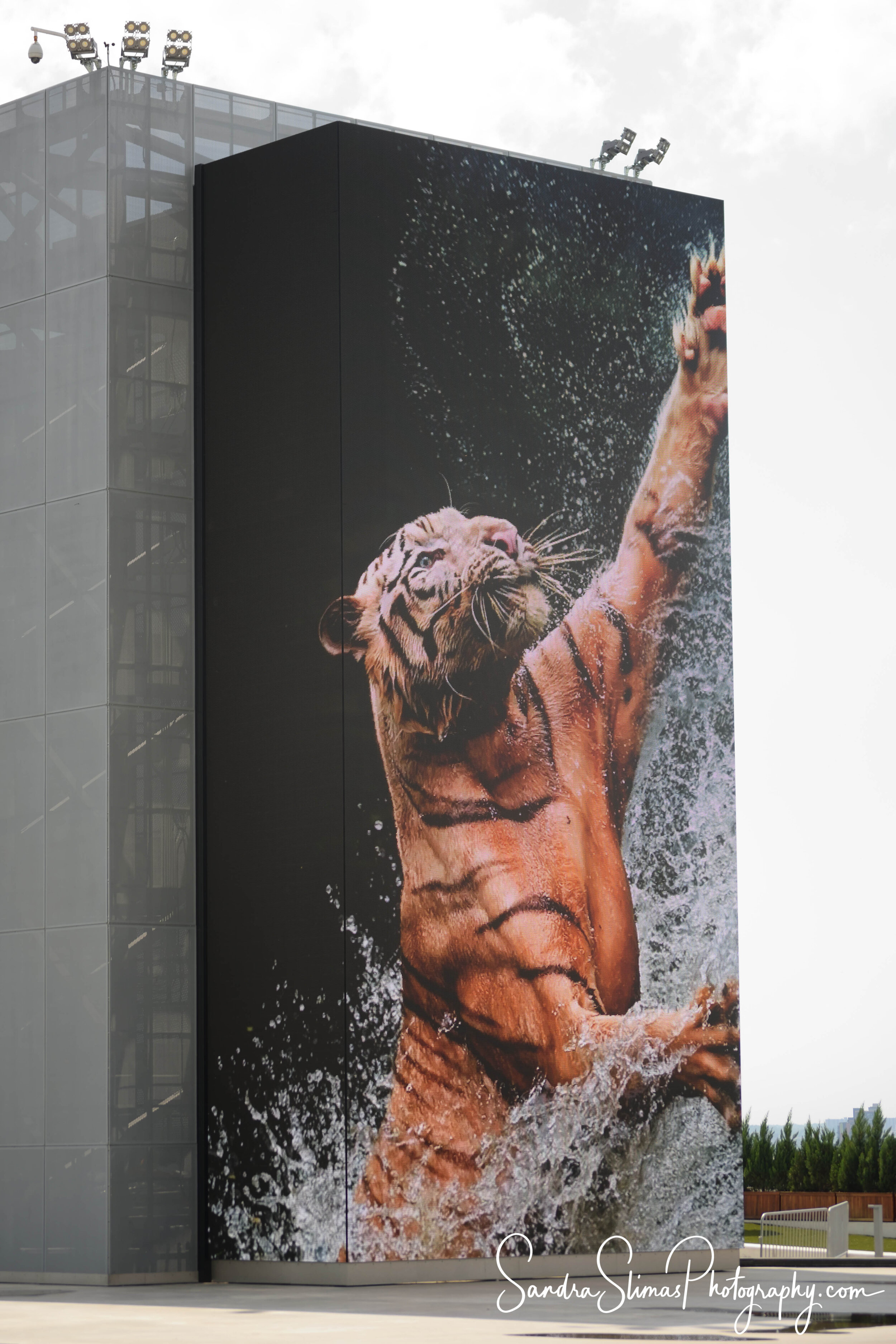 DSC_0134_00001.jpg