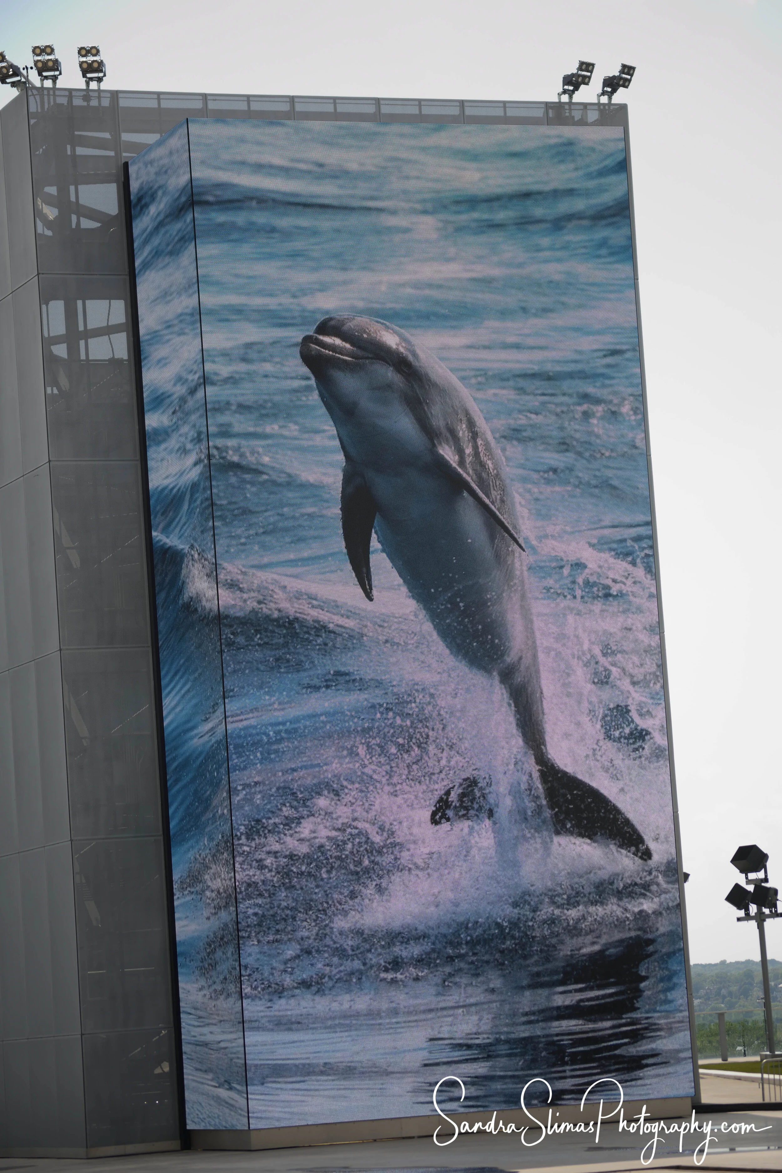 DSC_0137_00001.jpg