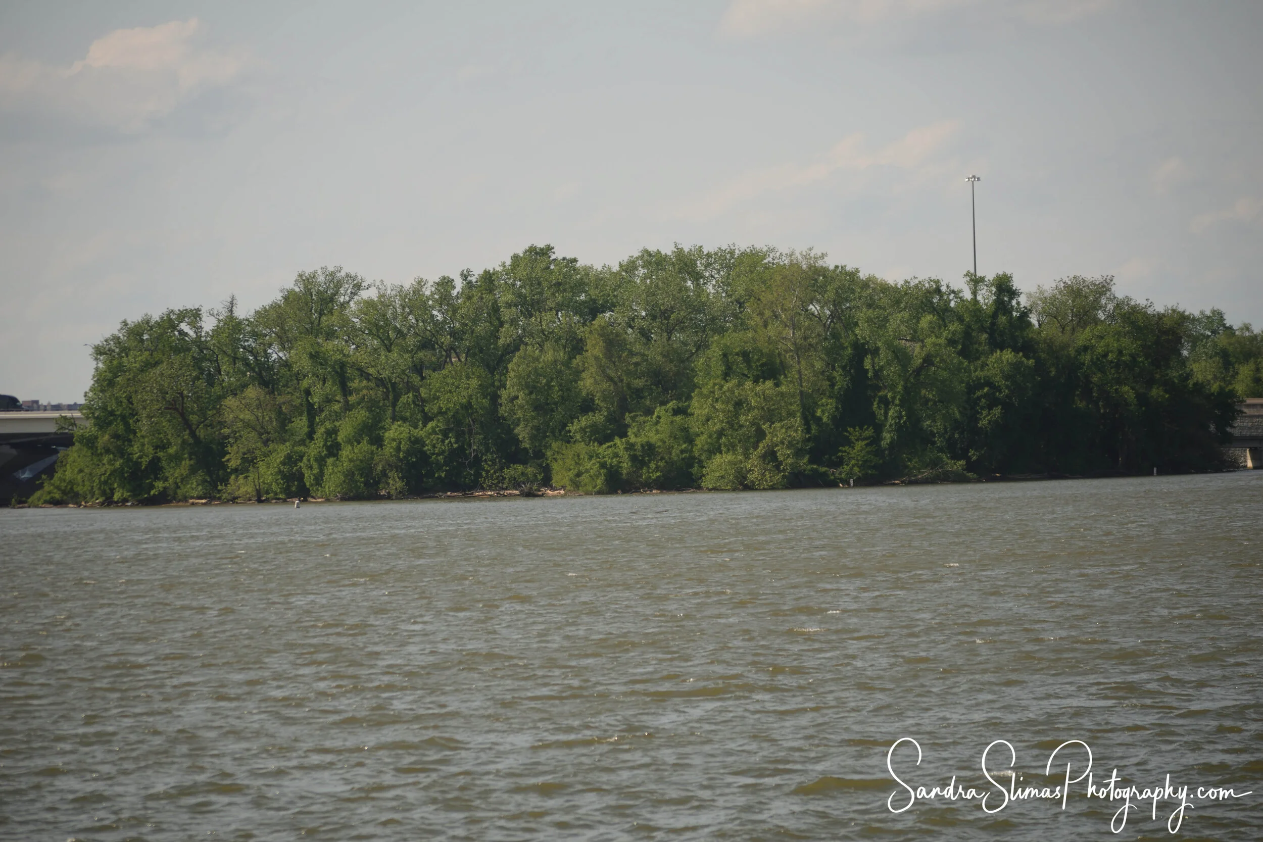 DSC_0152_00001.jpg