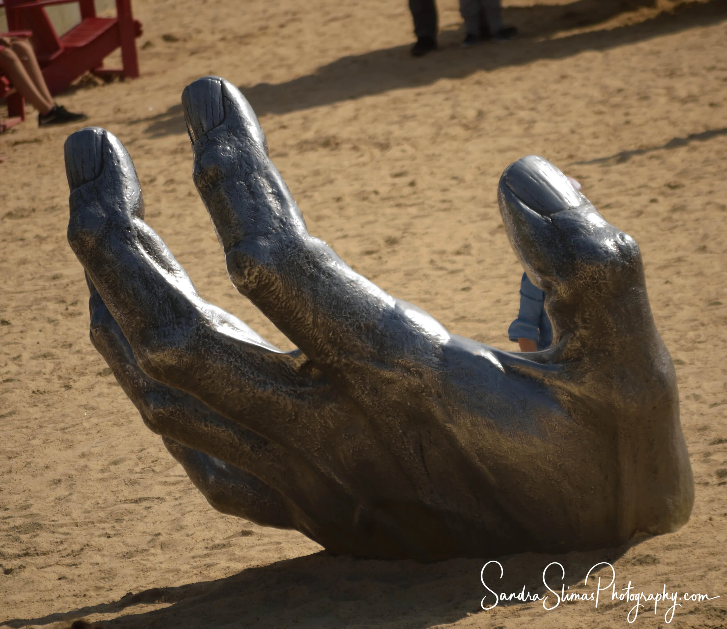 DSC_0160_00001.jpg