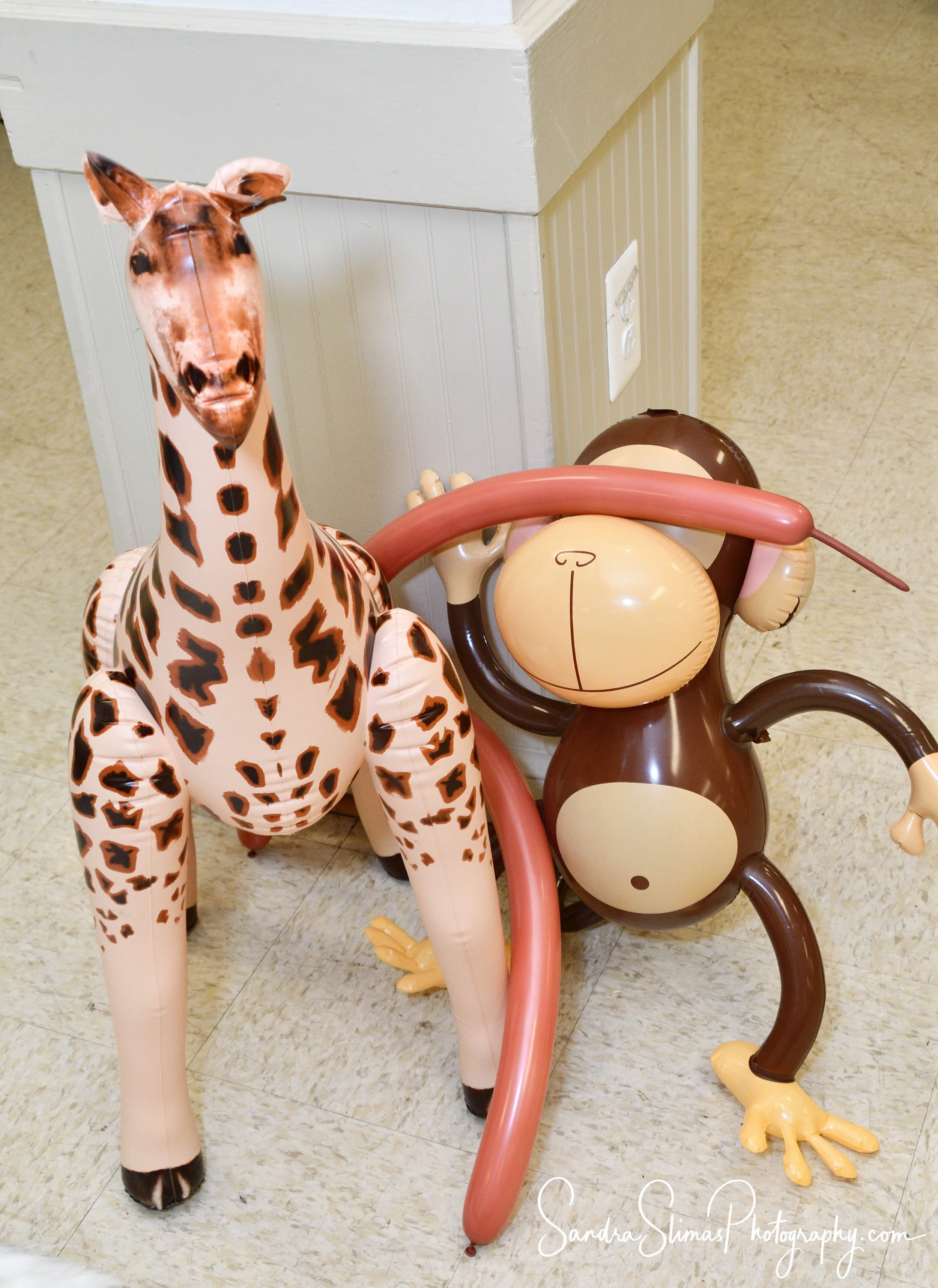 DSC_9787_00001.jpg