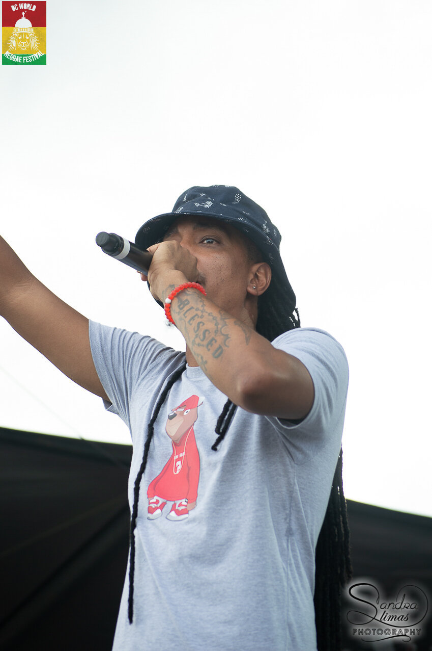 DSC_0132.jpg