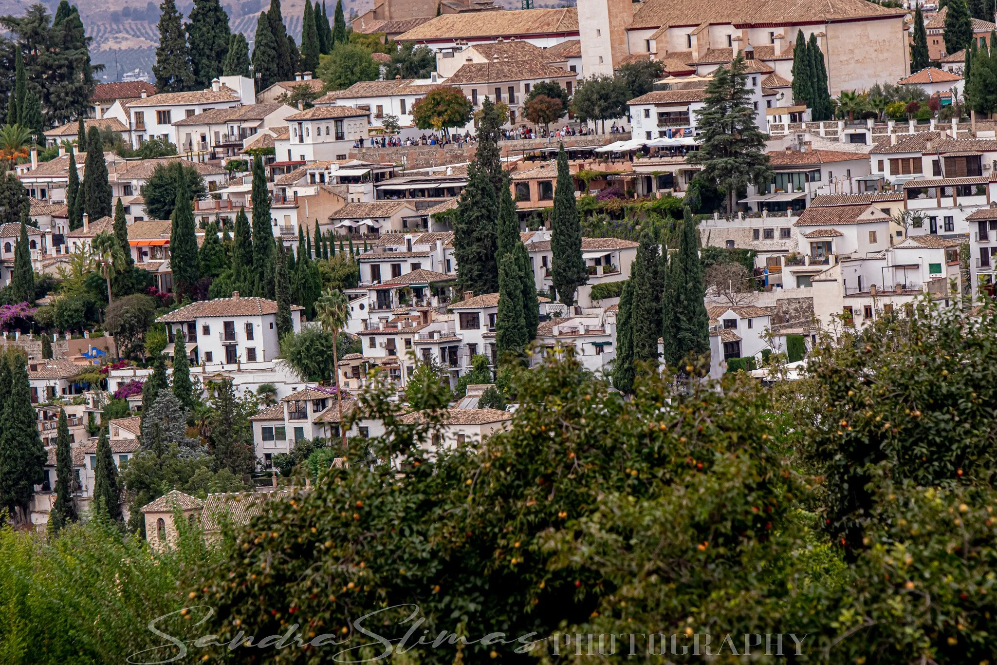 DSC_0163.jpg