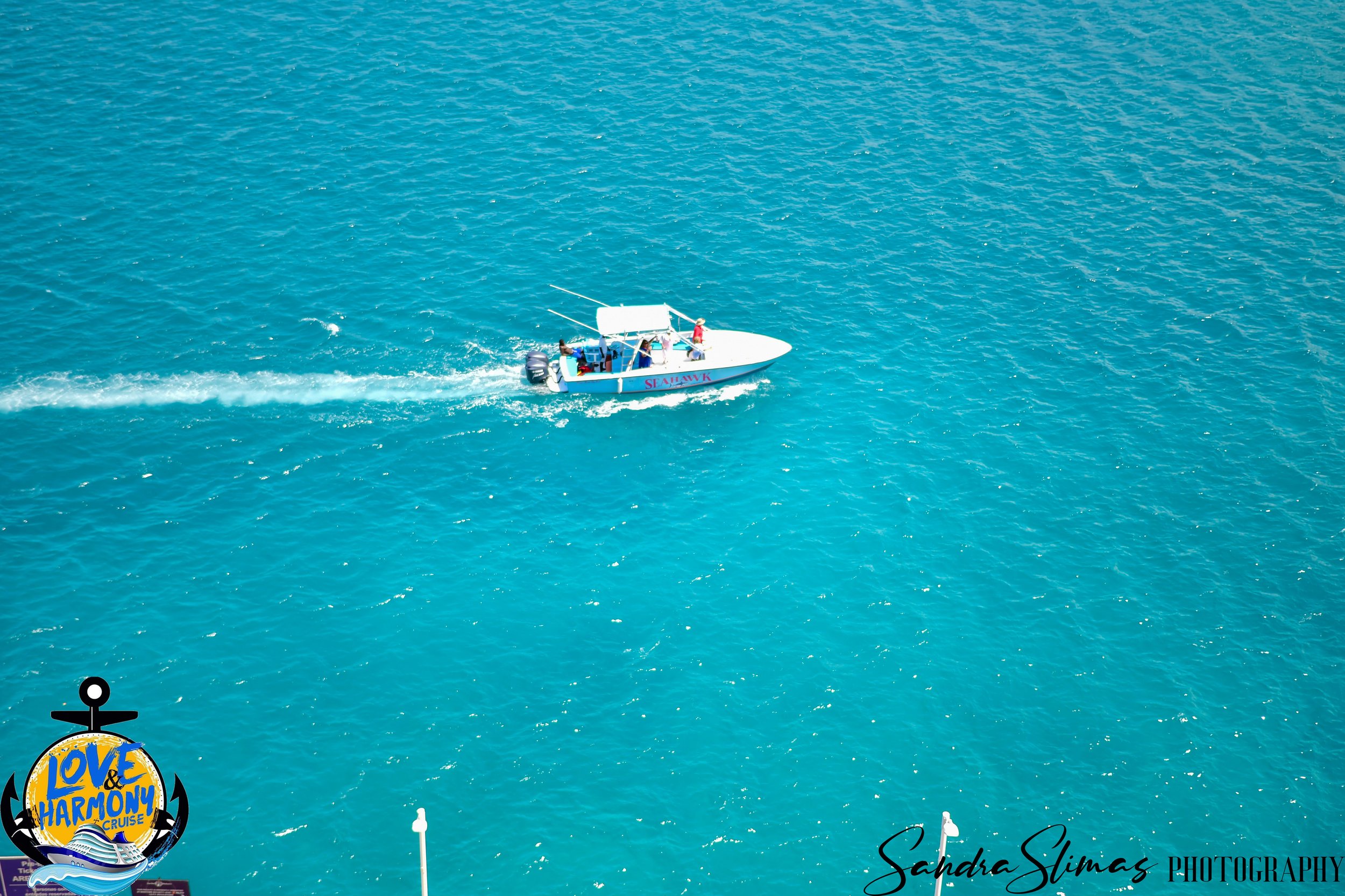 DSC_6813.jpg