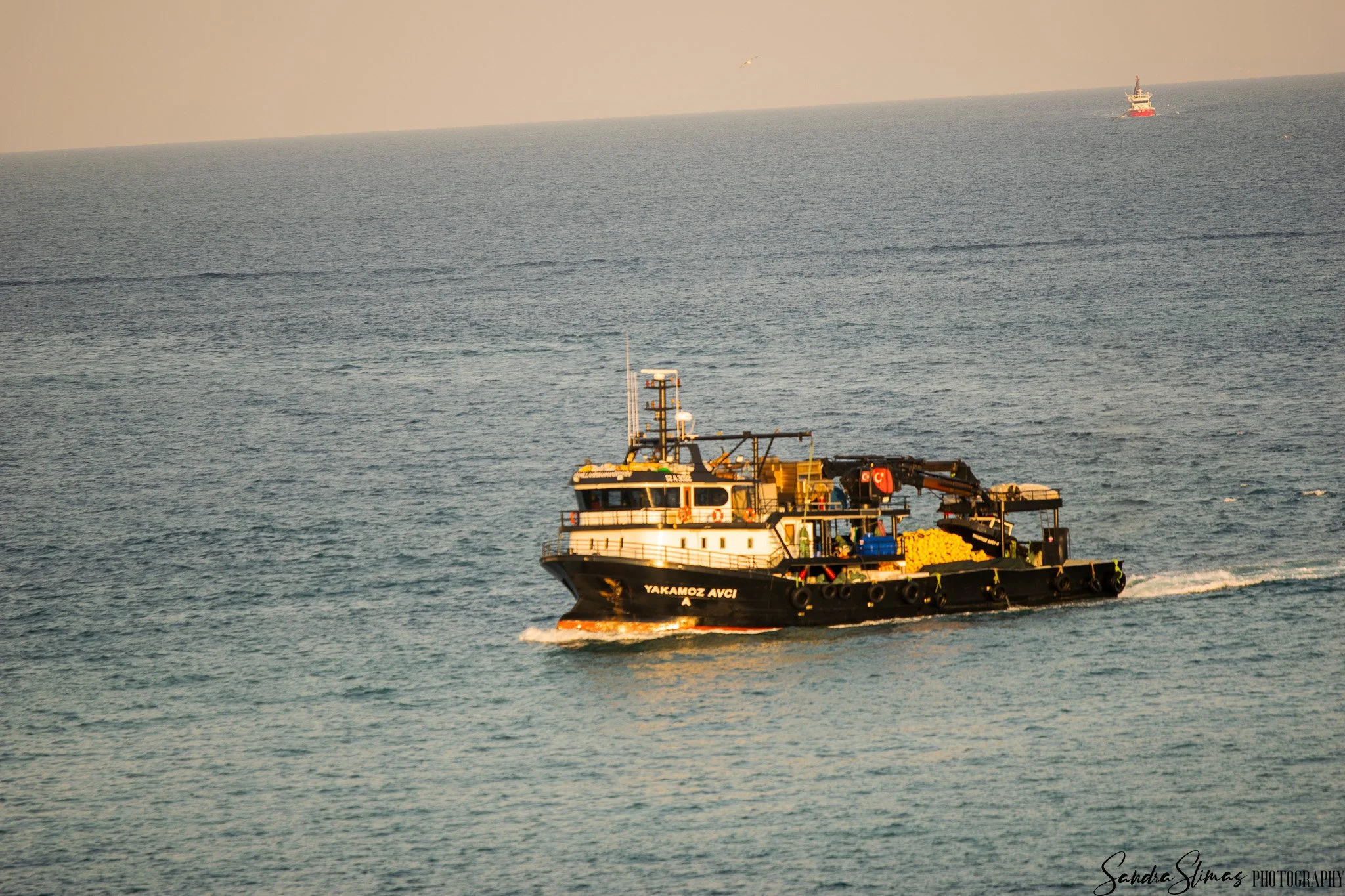 DSC_0436.jpg