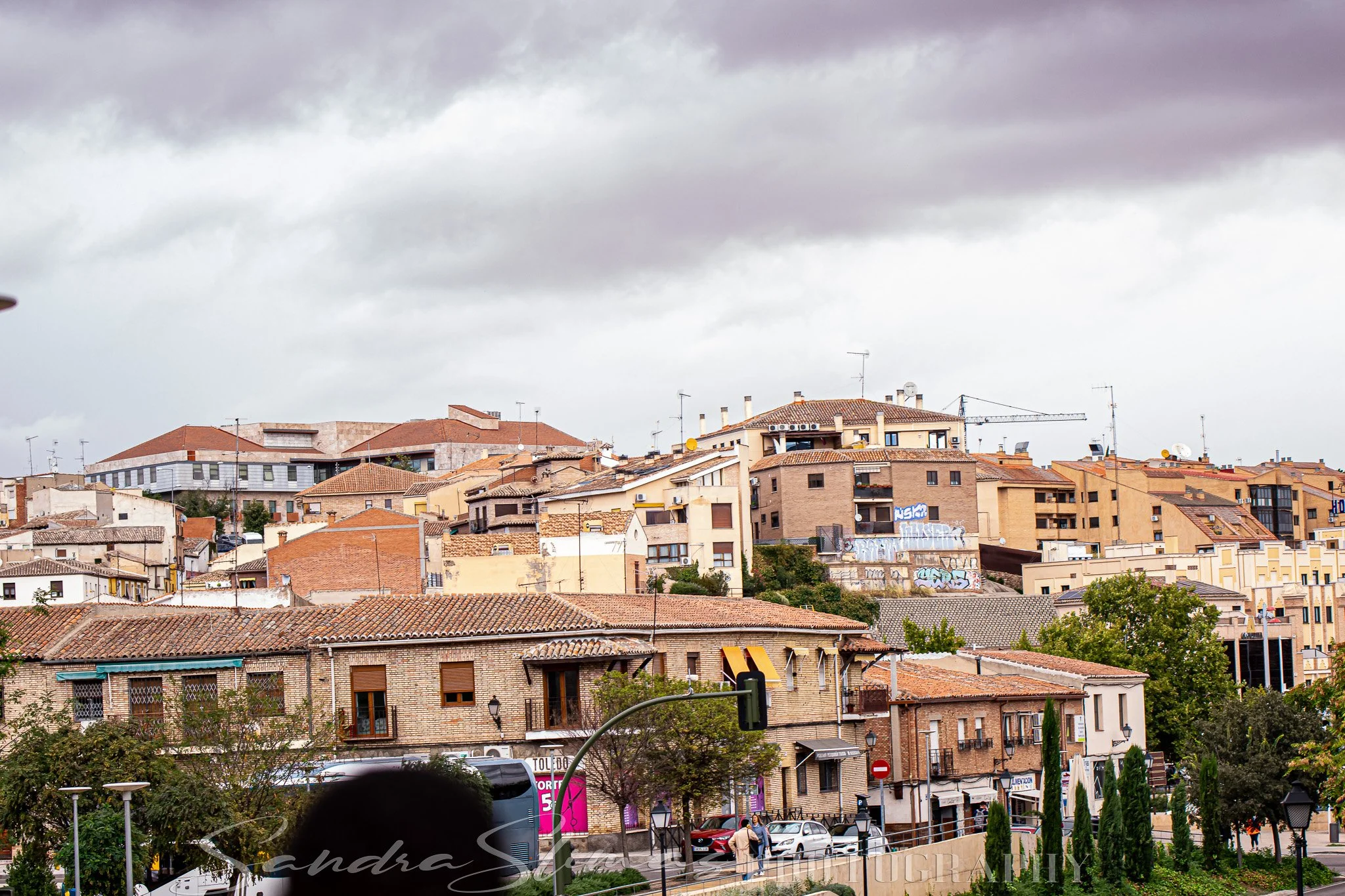 DSC_0157.jpg
