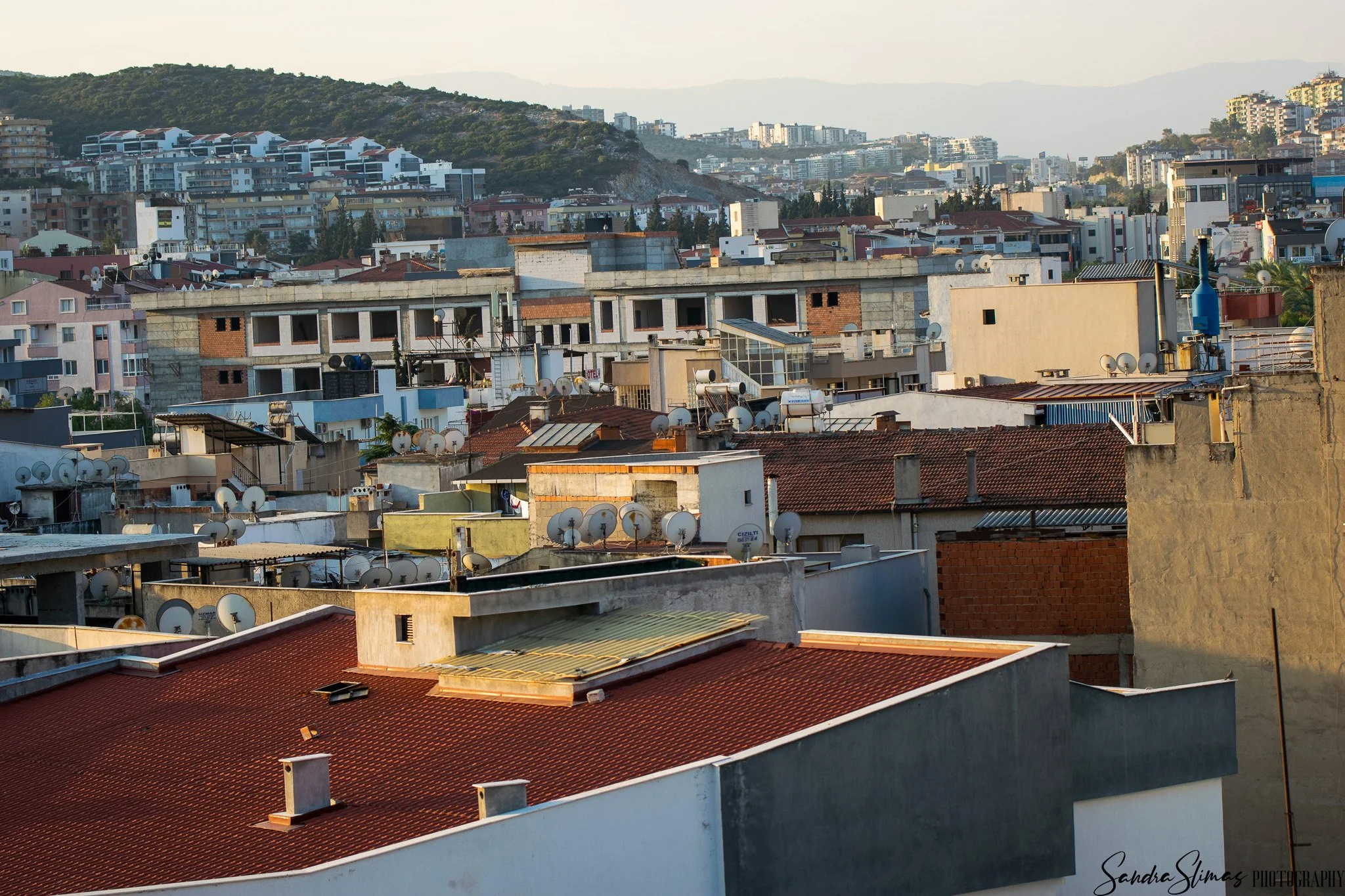 DSC_0428.jpg