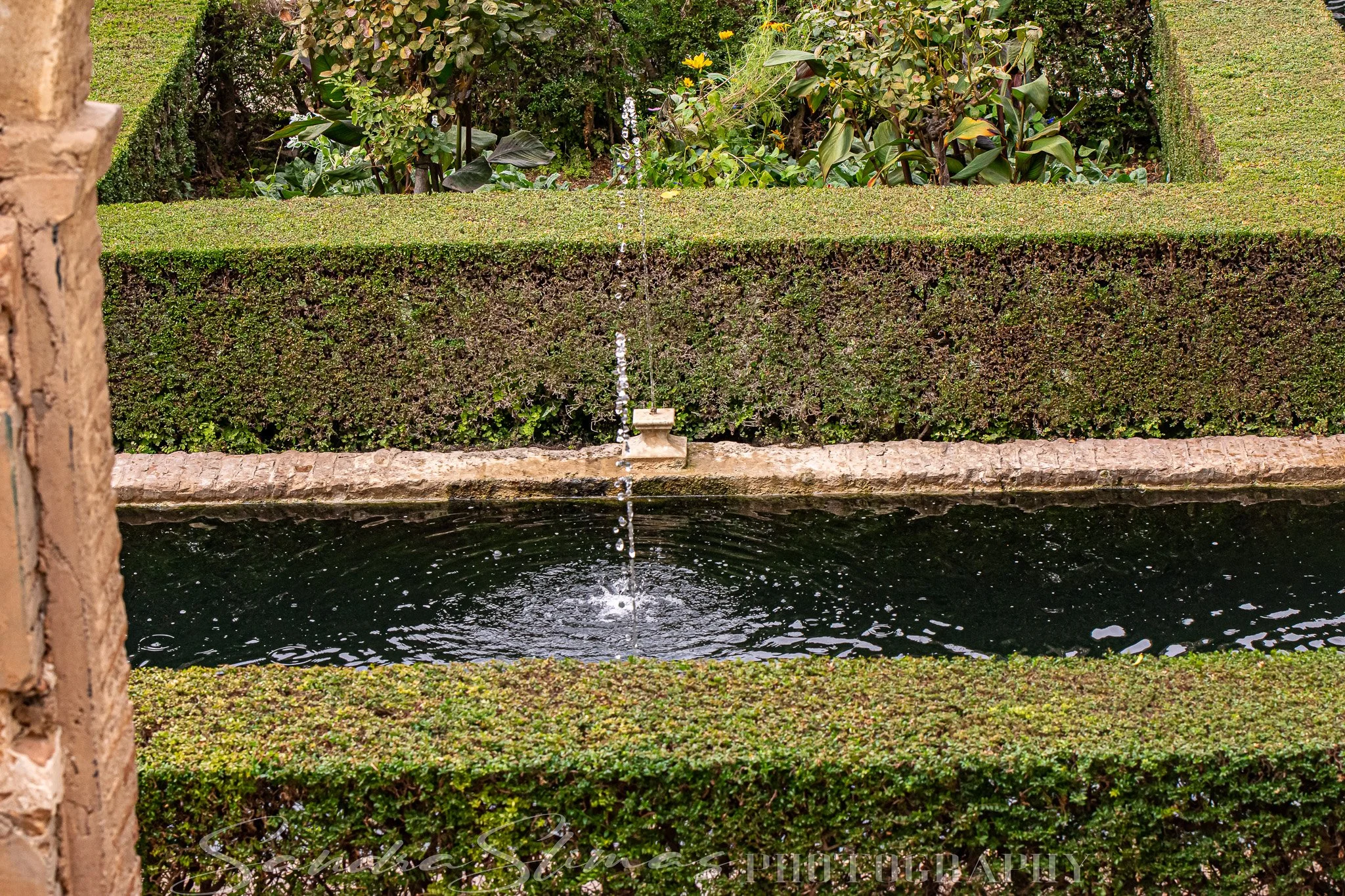 DSC_0317.jpg