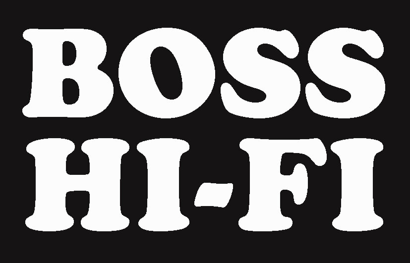 Årvågenhed forretning halvt Boss Hi-Fi