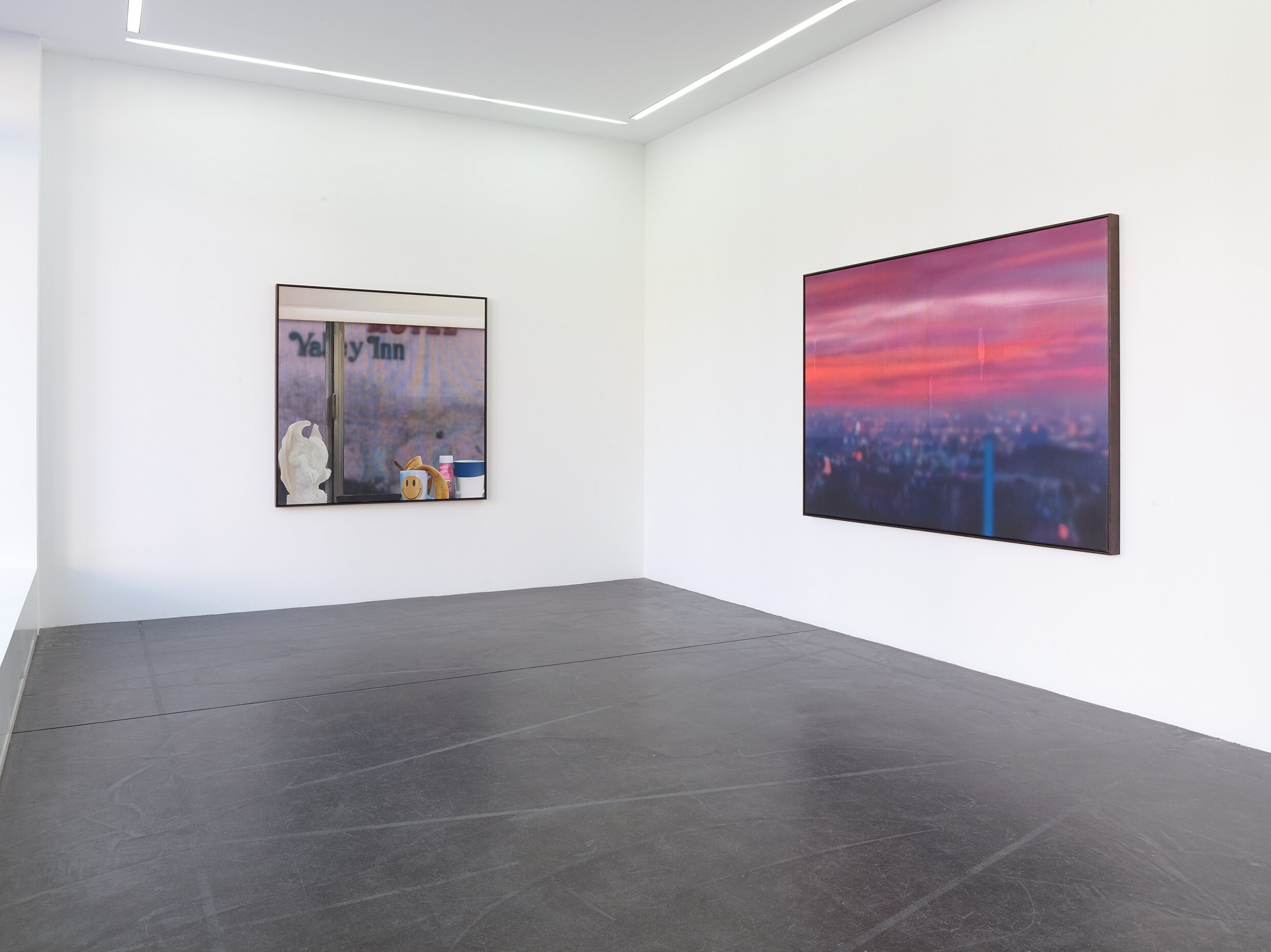  The Cabinet and the Vitrine, 2018. Installation view. Image credit: Brica Wilcox 