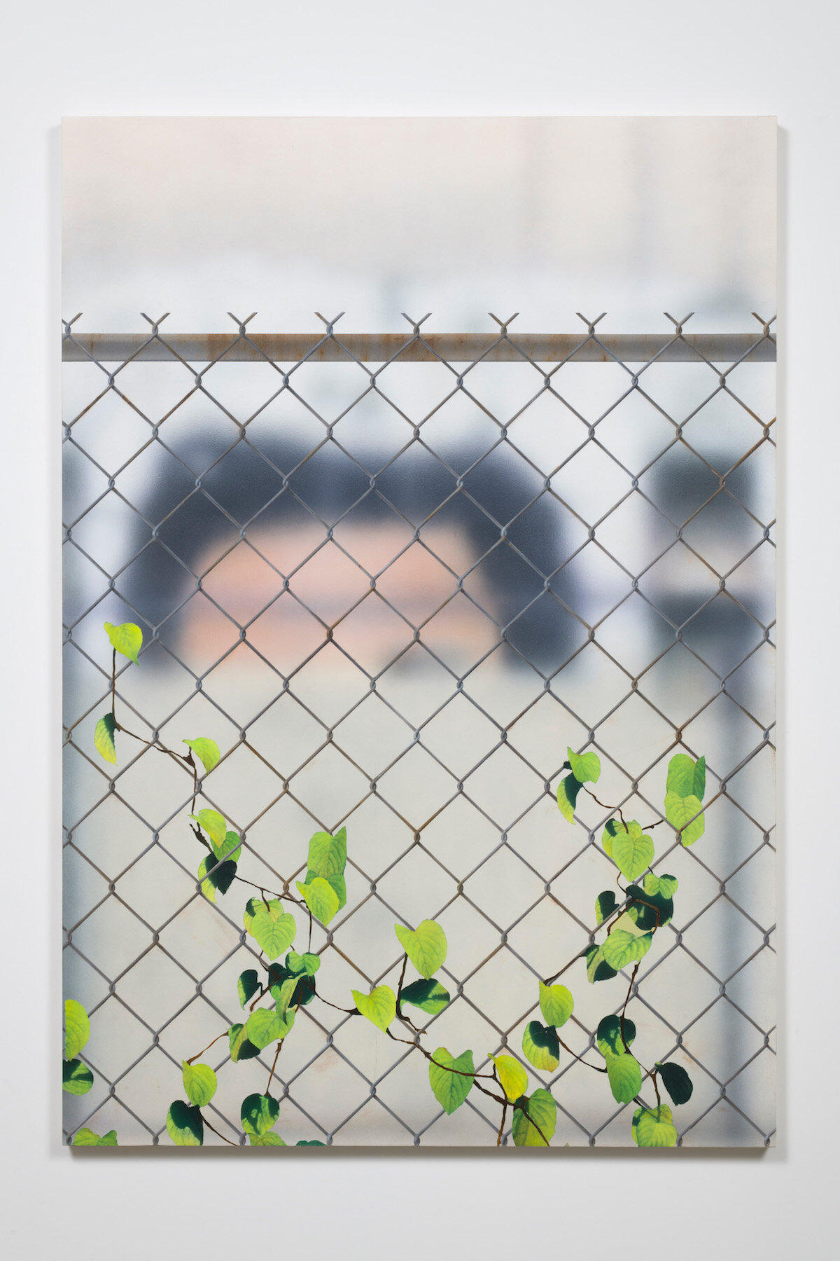   Mural with Chain Link and Ivy,  2017. Acrylic on canvas. 72 x 50 inches 