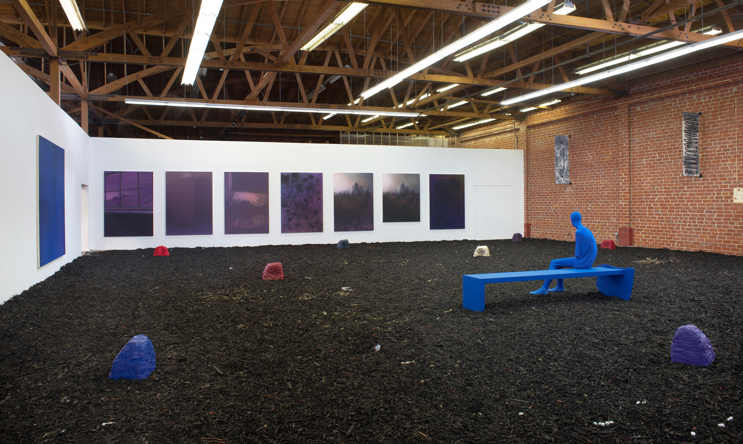  I'm Different, 2014. Installation view 