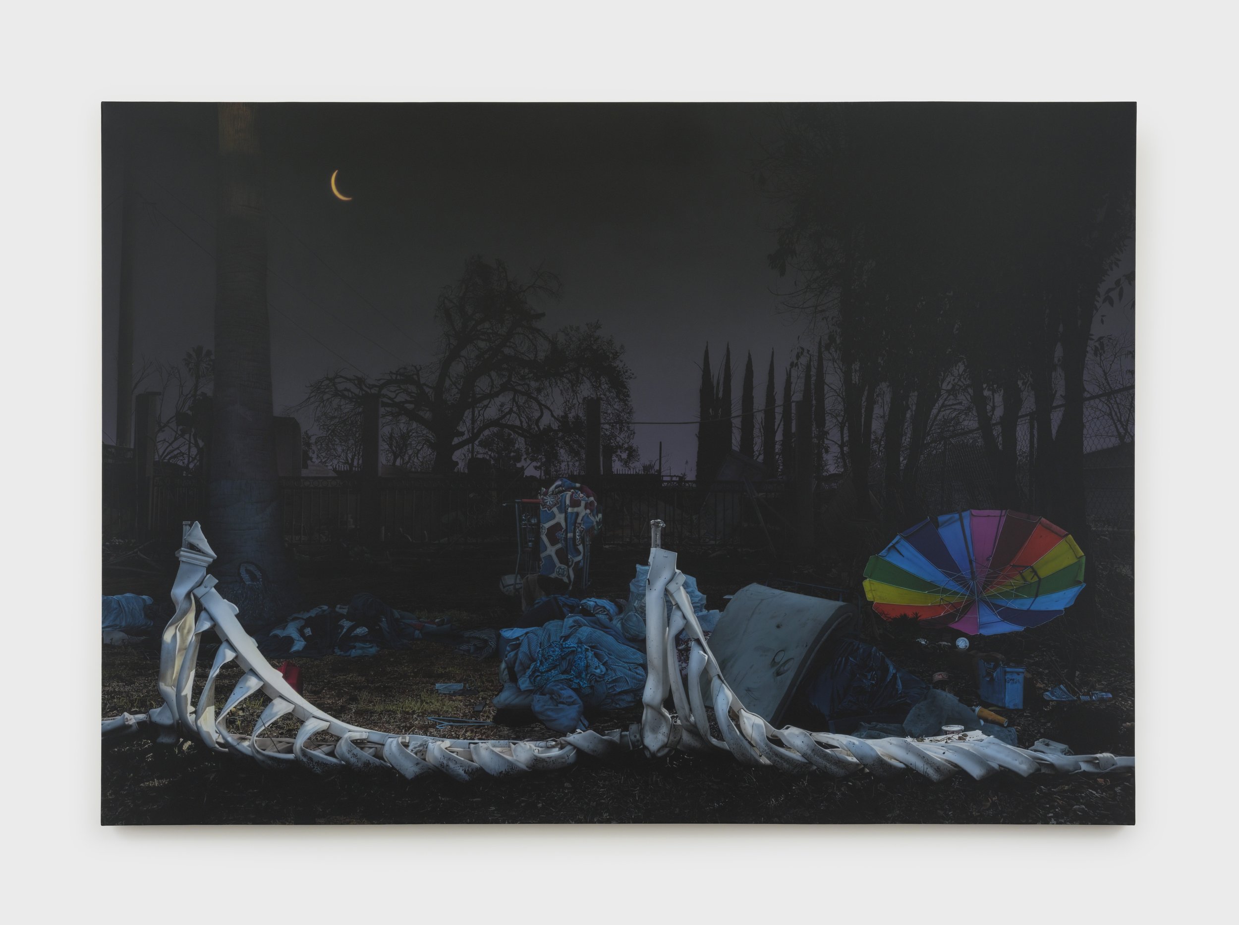 Sayre Gomez_Fire Season 9_2025.jpg