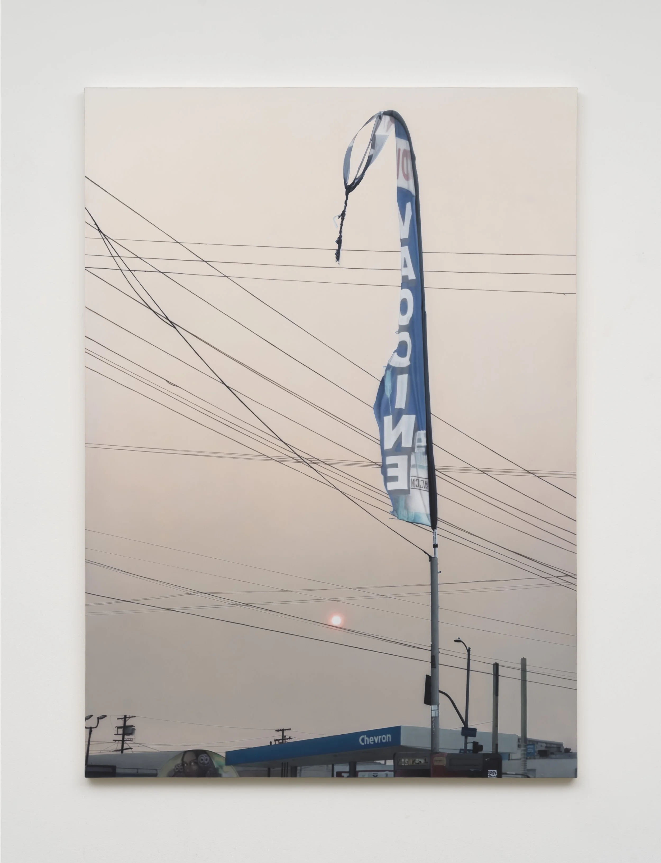 Sayre Gomez_Vaccine Flag_2025.jpg