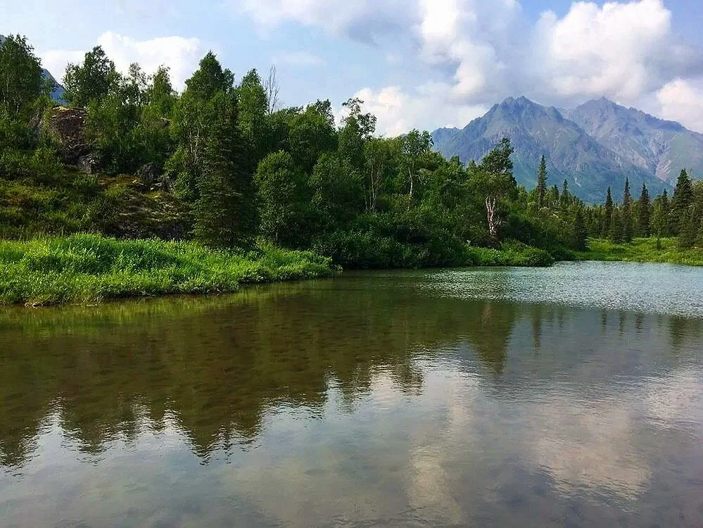 River at Knik.jpg