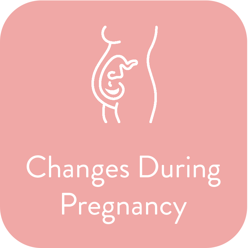 Changes during pregnancy.png