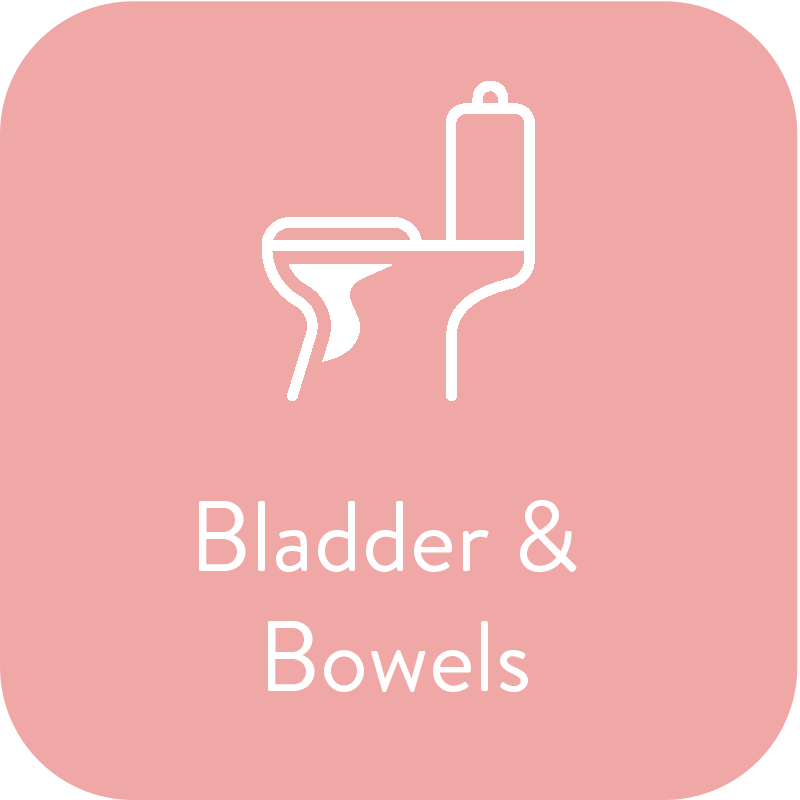bladder and bowels.png