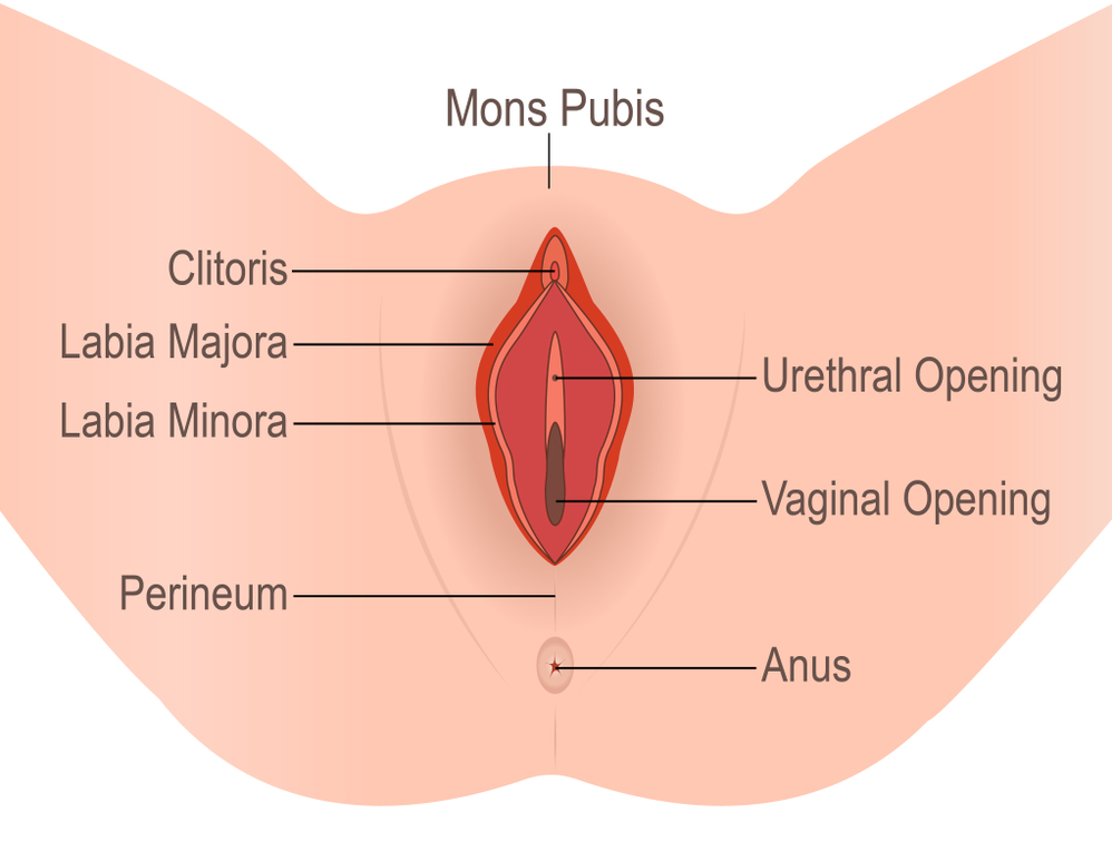 Keep your perineum intact in childbirth
