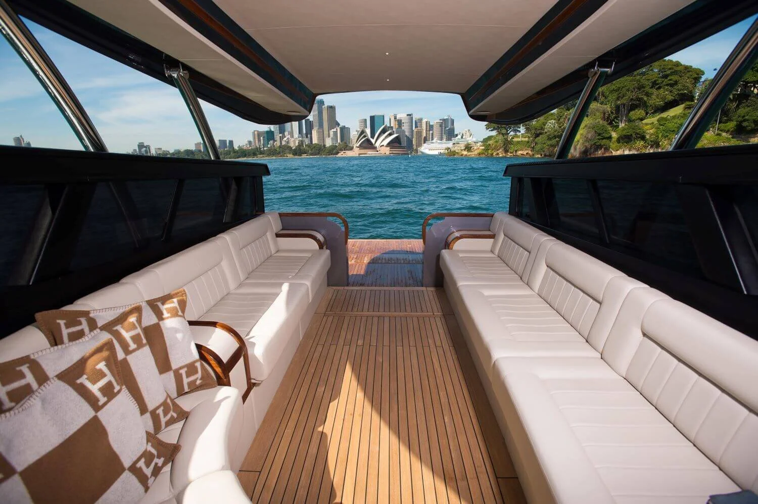 Eagle Image - Dave Goudie-347-resize.jfif