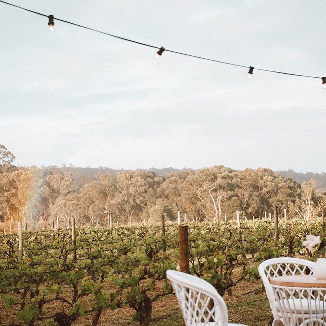 Such an amazing evening under the stars&hellip;thanks to all our lovely guests who braved the elements to join us 💕🍇🌹

📸 thanks to @laurentrickettphoto and @finevinesfest