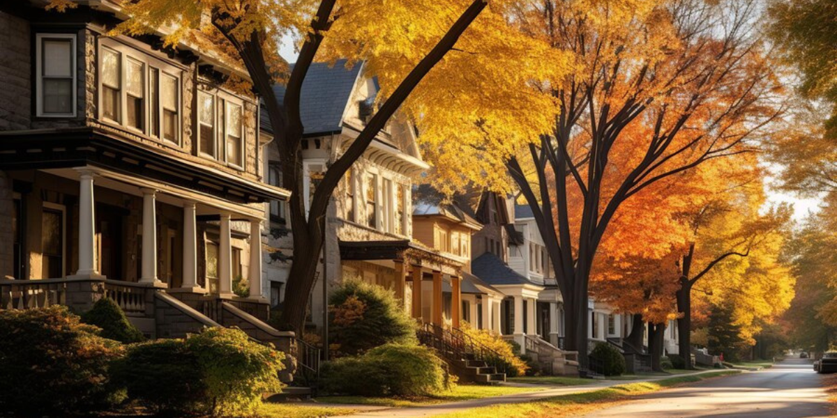 From the Desk of CF Capital: October Investor Report