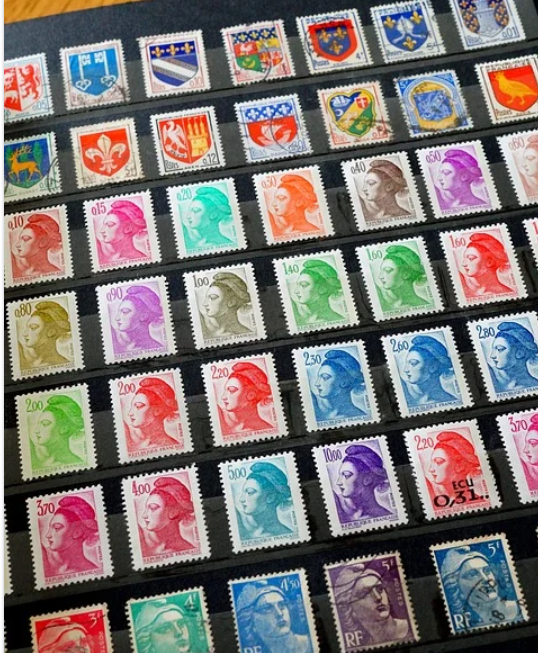 FINANCIAL AUDIT AND CONTRACT MANAGEMENT