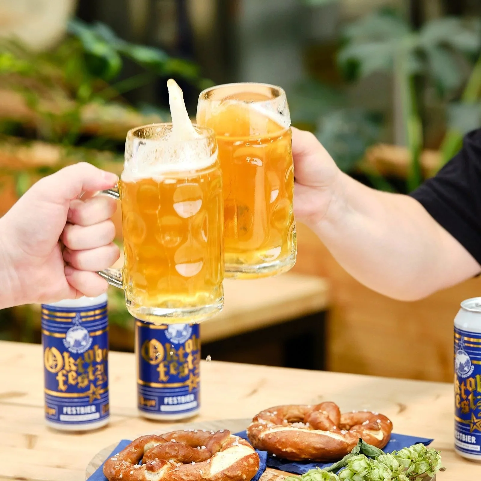 Lost%26Grounded_Festbier25%28Sep2025%29__359%28web%29.jpg