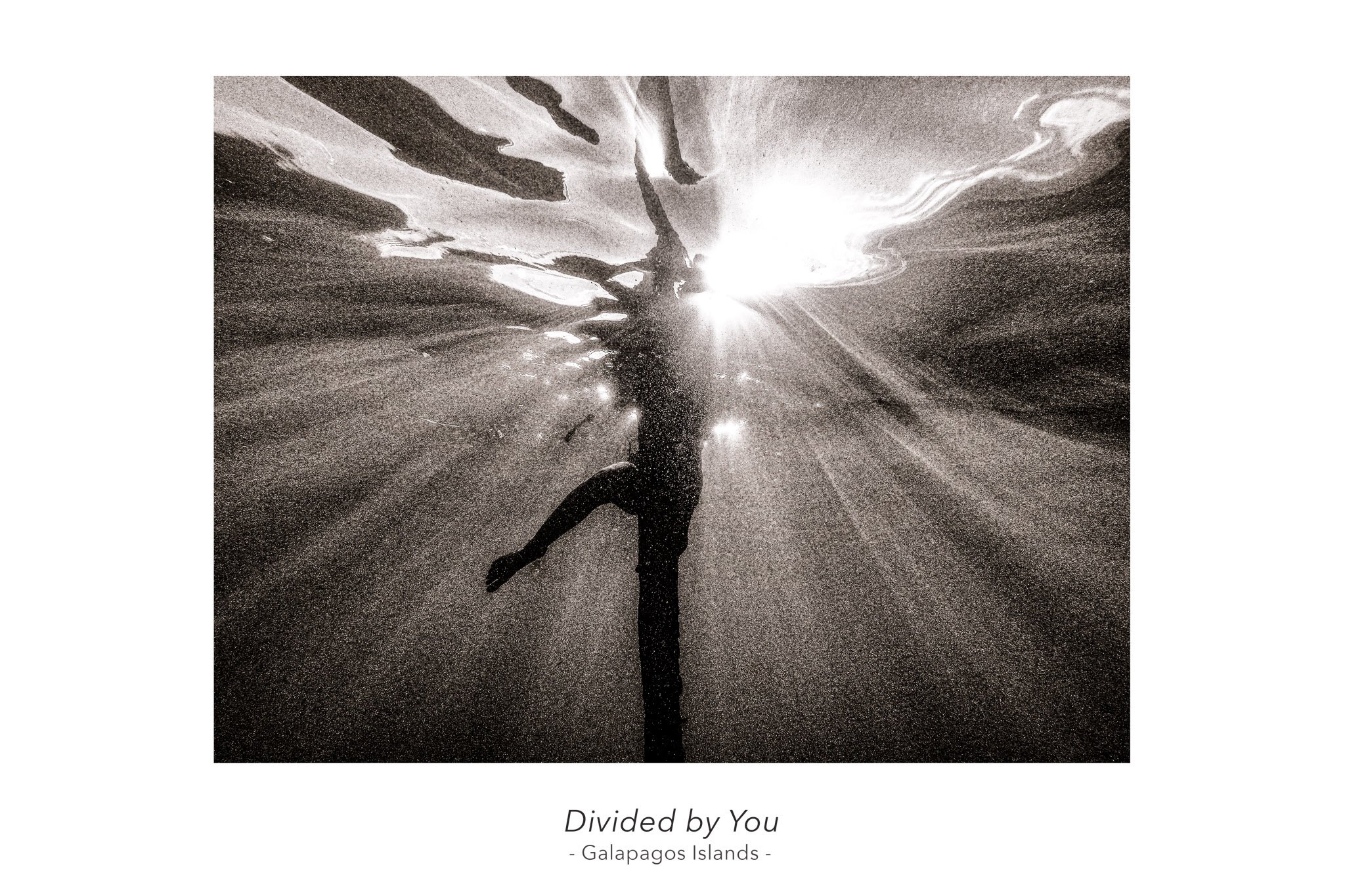 Divided by You